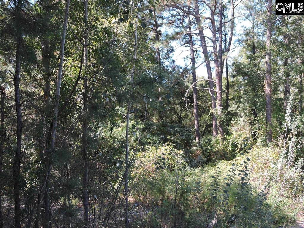 1250 South Lake Dr. Lexington, SC 29073