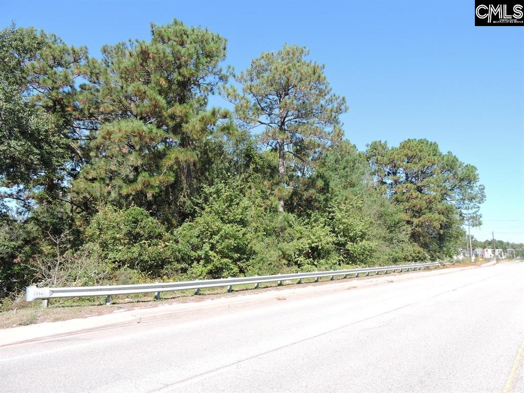 1250 South Lake Dr. Lexington, SC 29073