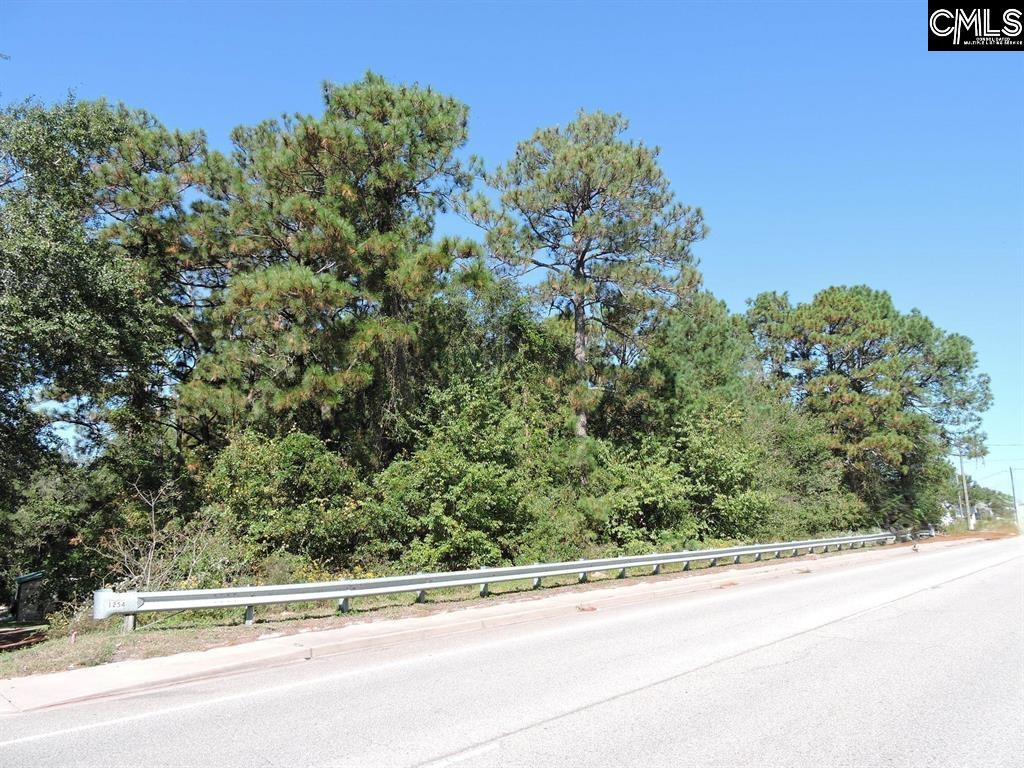 1250 South Lake Dr. Lexington, SC 29073