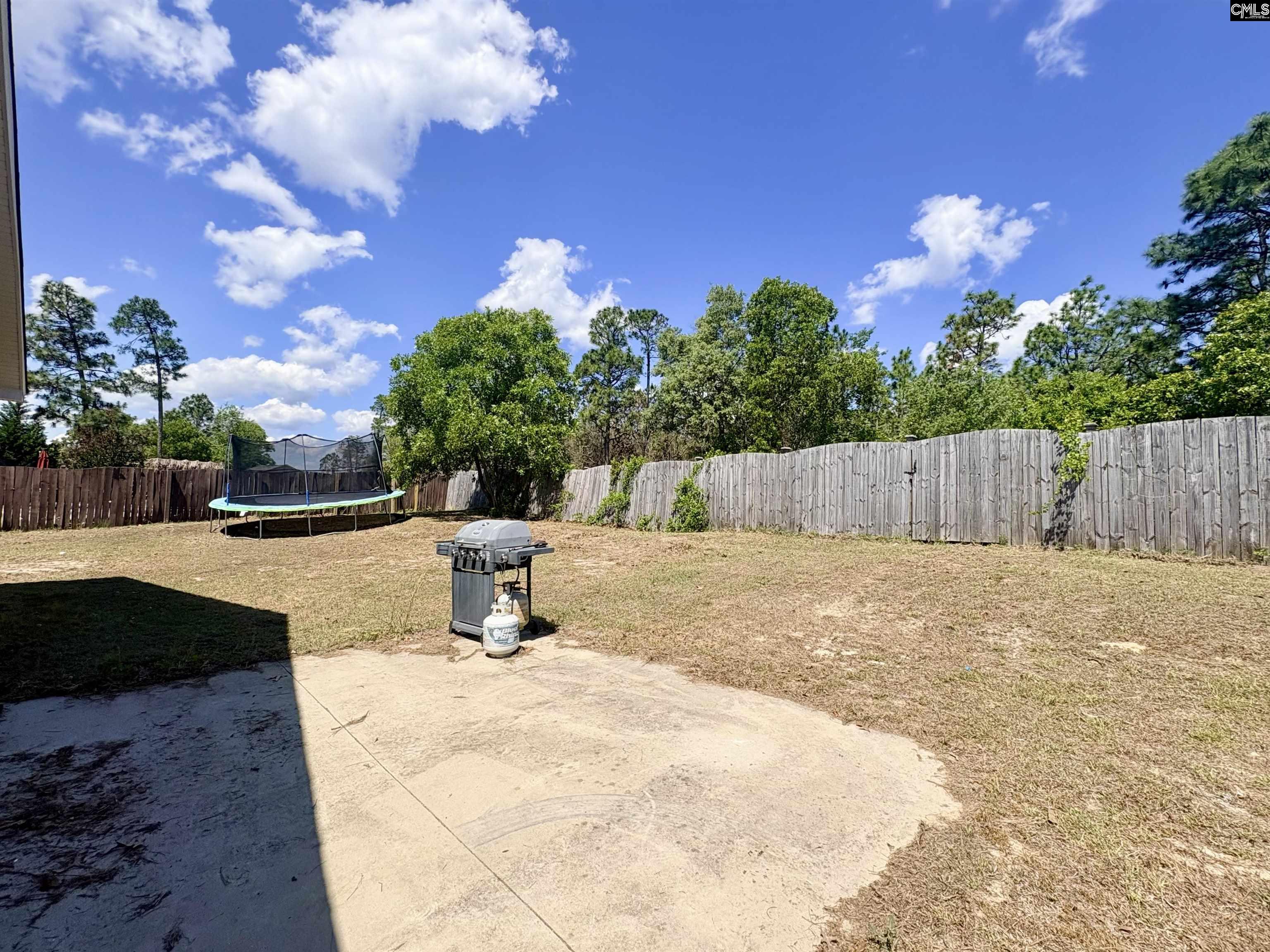 290 Baneberry Loop Lexington, SC 29073