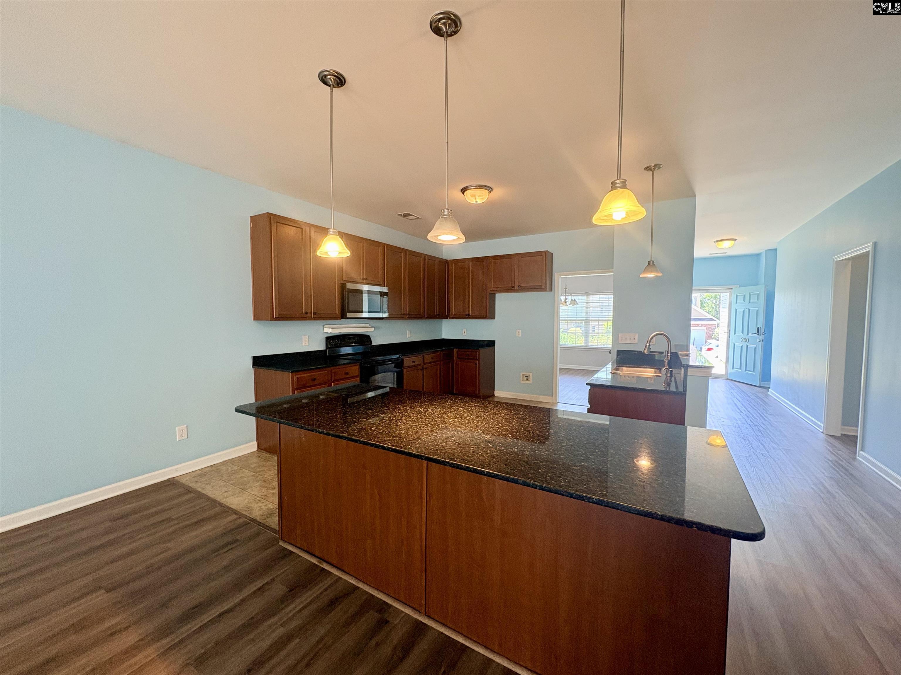 290 Baneberry Loop Lexington, SC 29073