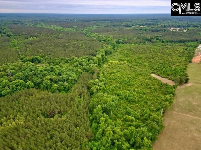 TBD Timberlane Road Leesville, SC 29070