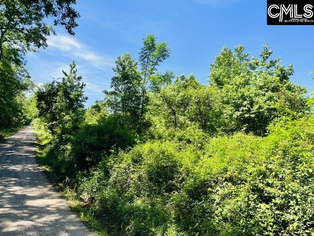 TBD Timberlane Road Leesville, SC 29070