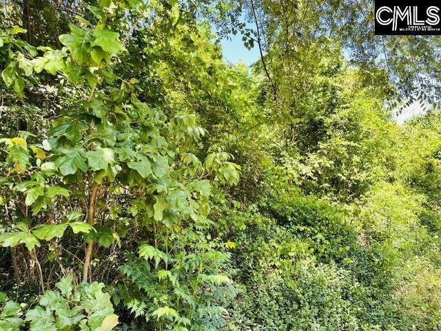 TBD Timberlane Road Leesville, SC 29070