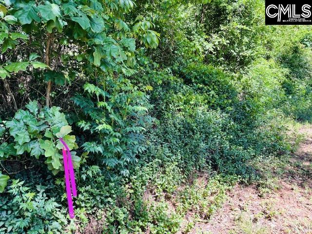 TBD Timberlane Road Leesville, SC 29070
