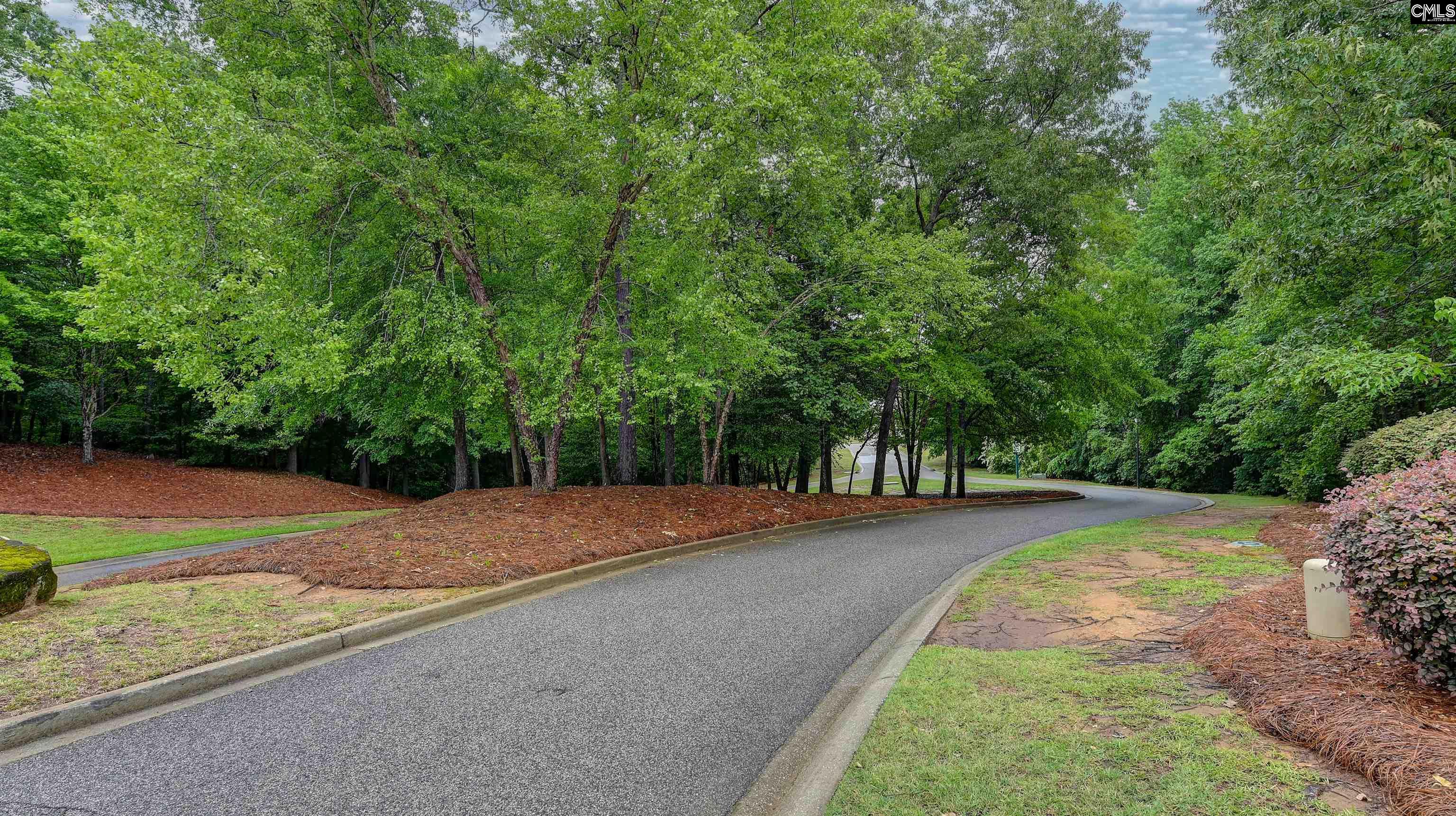 112 Blackstone Drive Irmo, SC 29036