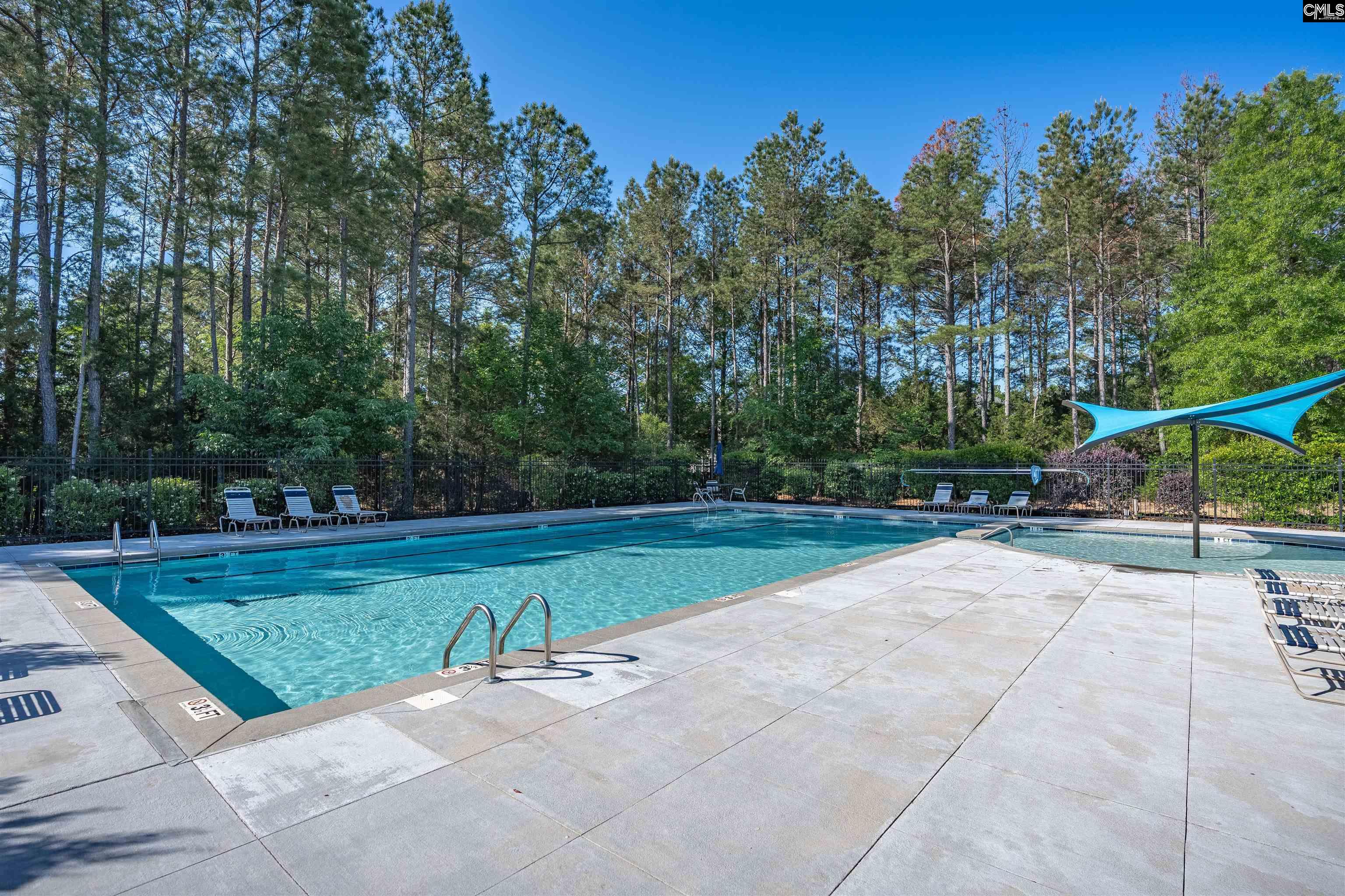 502 Eagles Rest Drive Chapin, SC 29036