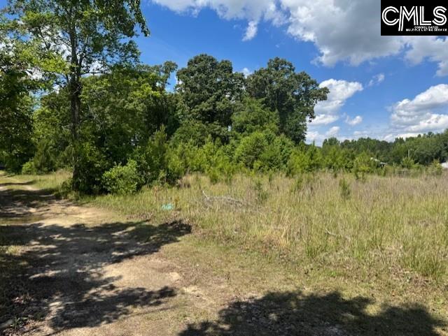 1536 Conagree Road Hopkins, SC 29061-9708