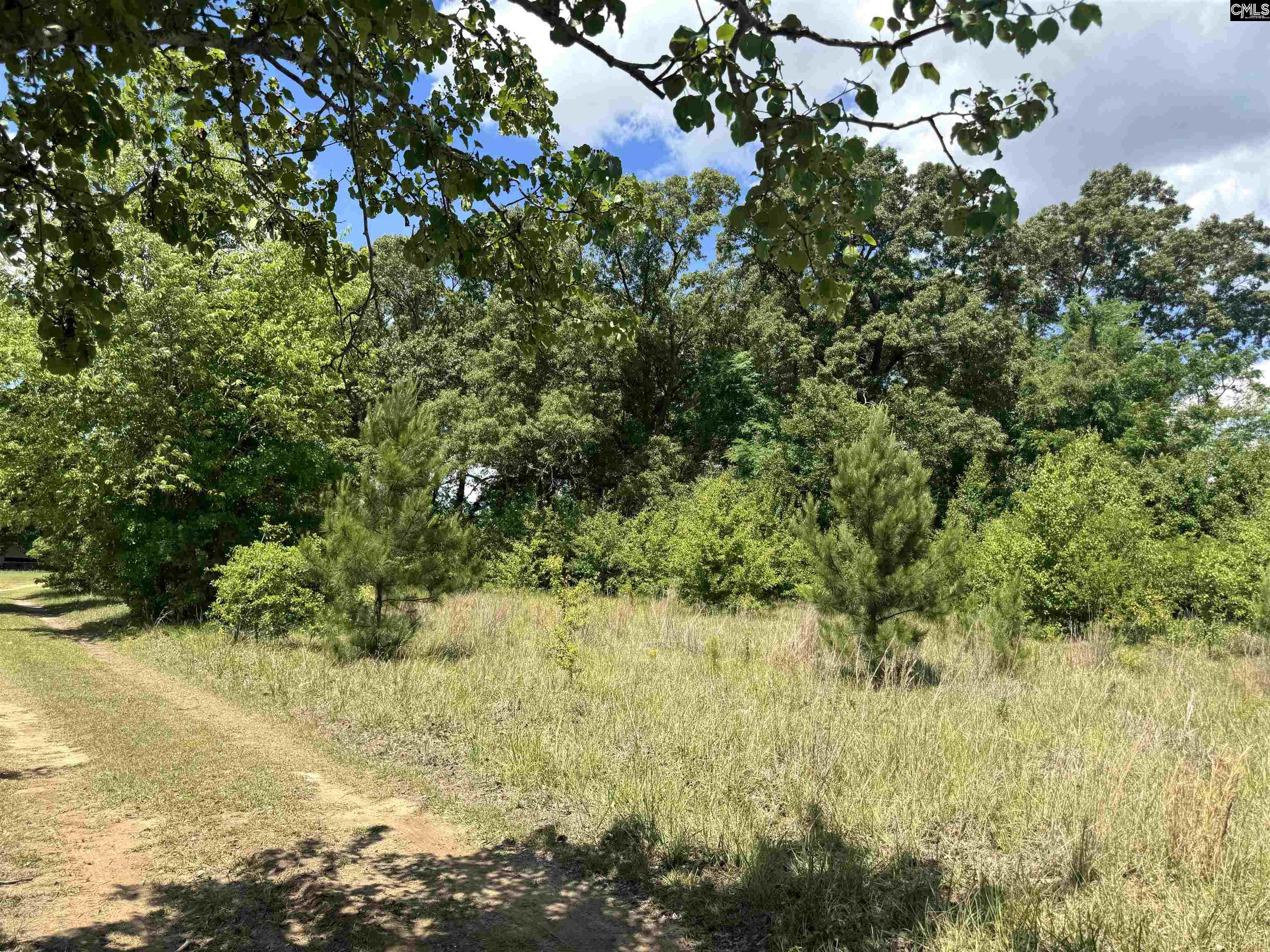1536 Conagree Road Hopkins, SC 29061-9708