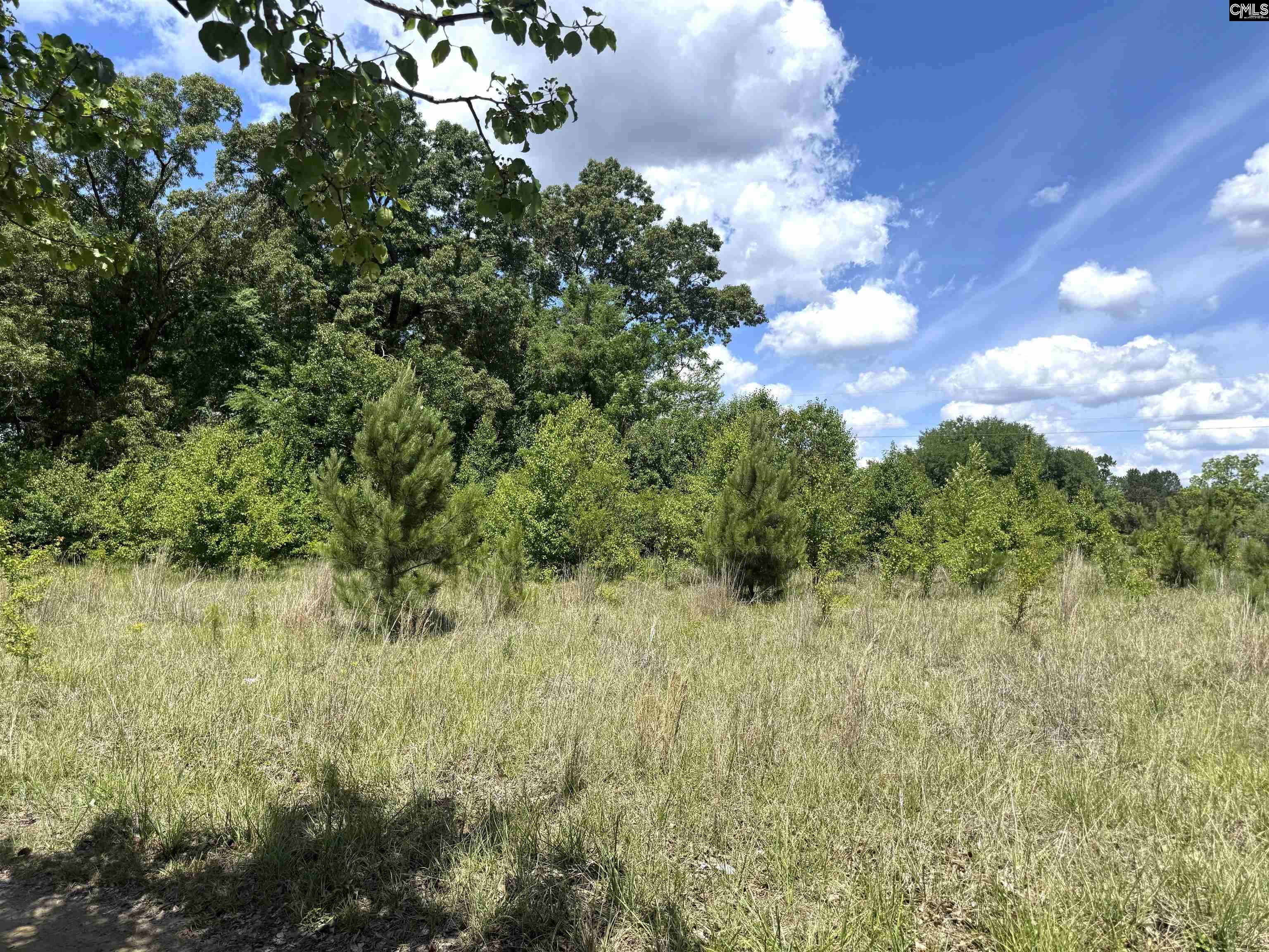 1536 Conagree Road Hopkins, SC 29061-9708