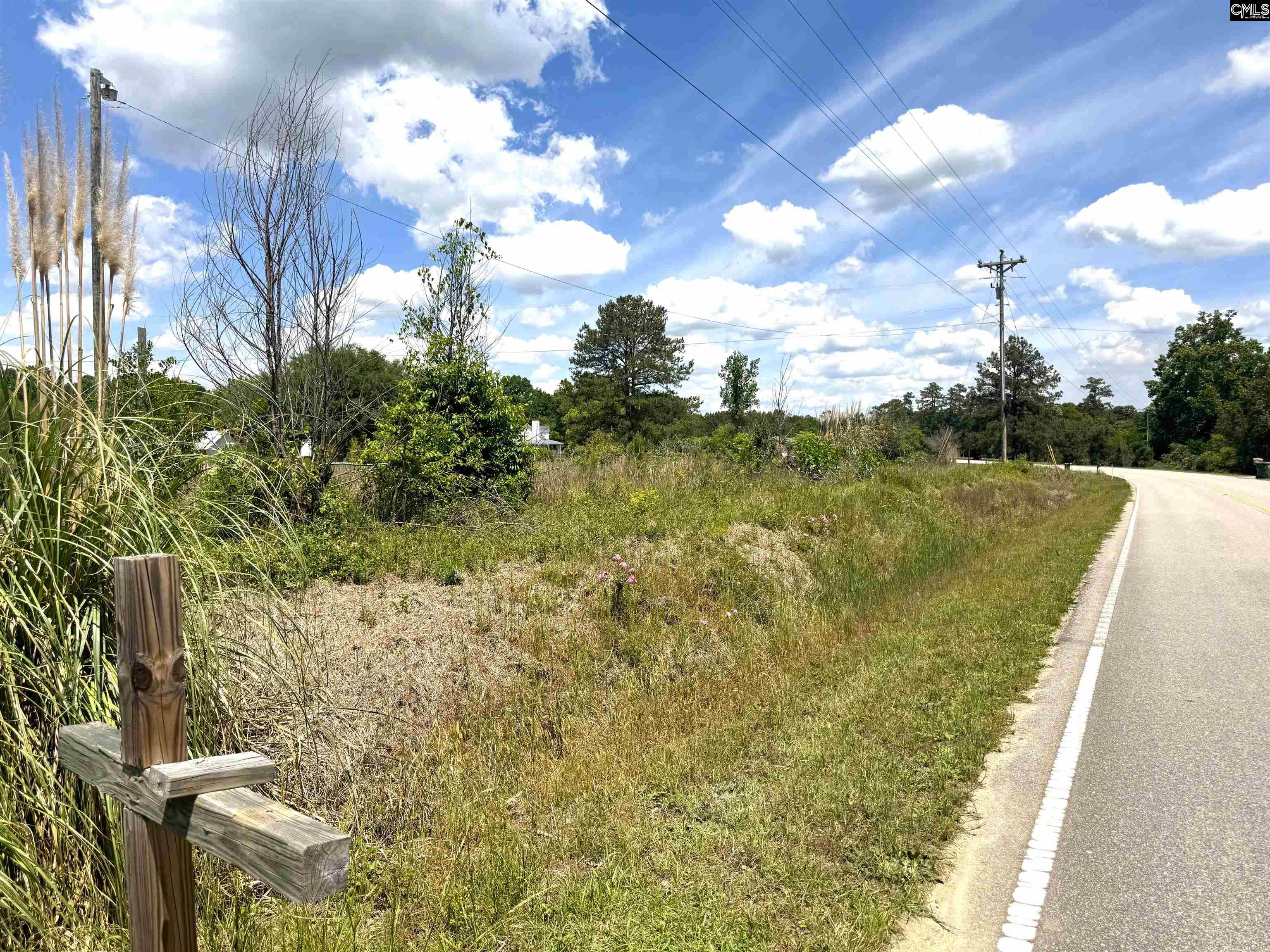 1536 Conagree Road Hopkins, SC 29061-9708