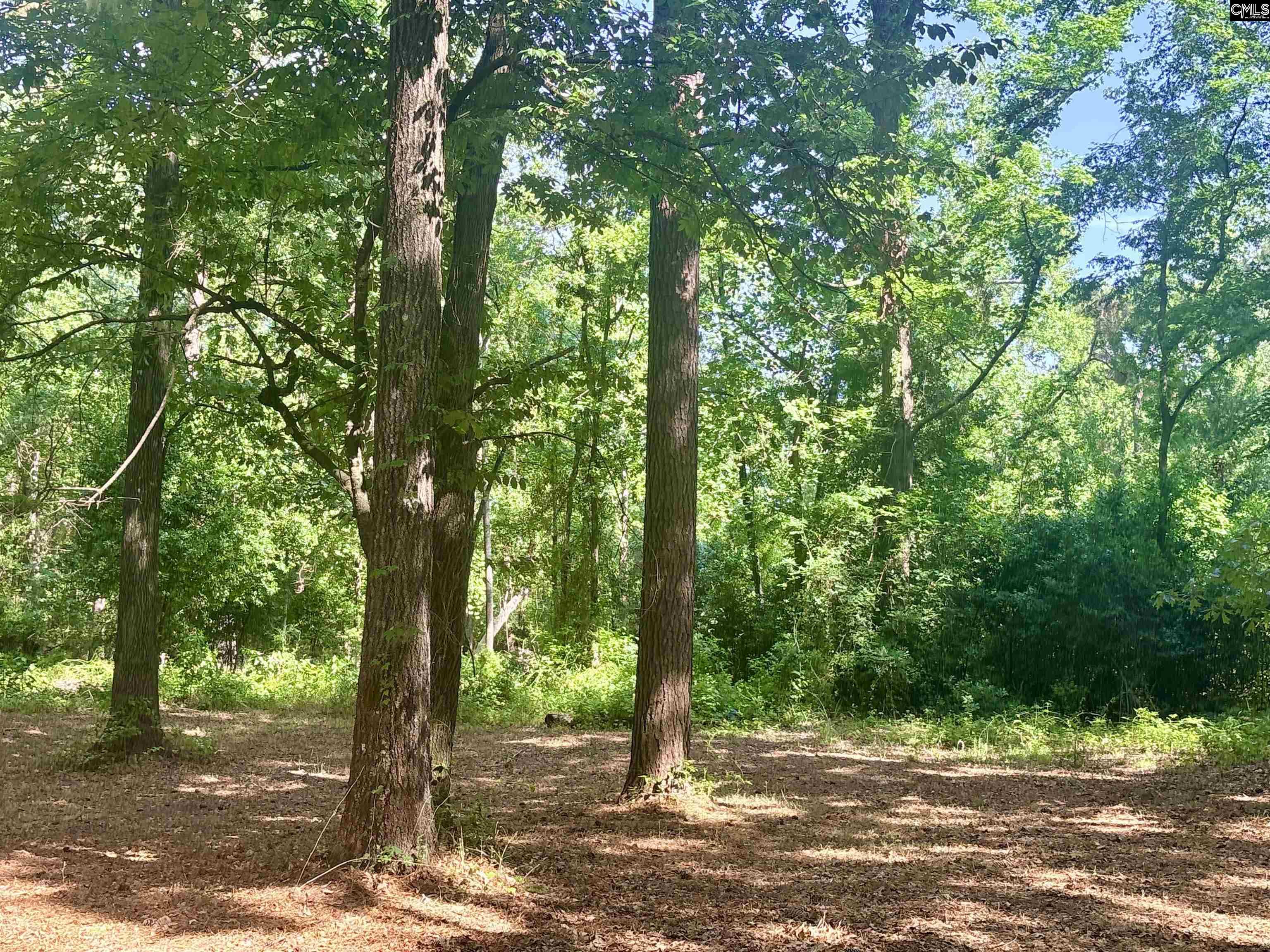 930 Peach Festival Road Gilbert, SC 29054