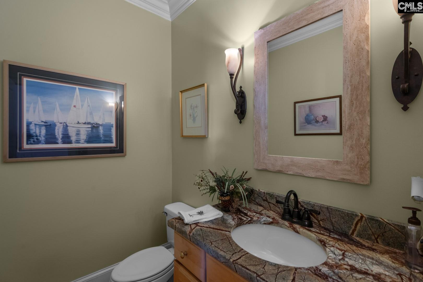 115 Pointe Overlook Drive Chapin, SC 29036