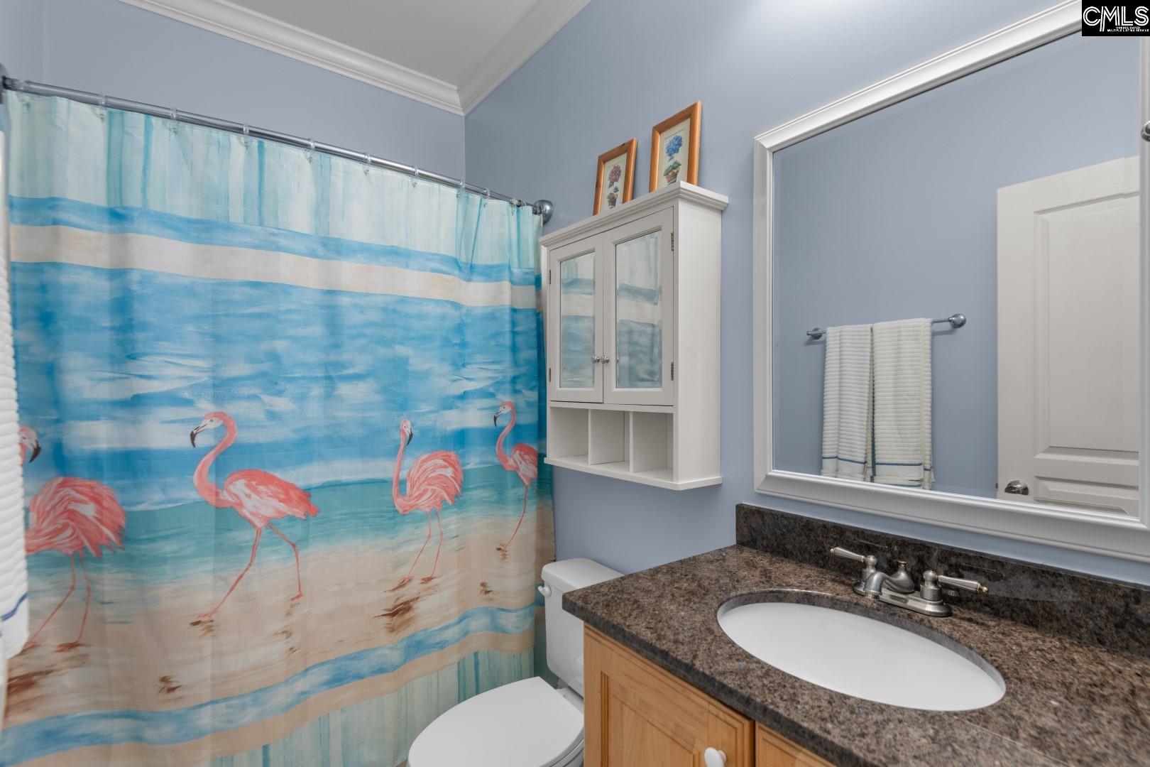 115 Pointe Overlook Drive Chapin, SC 29036