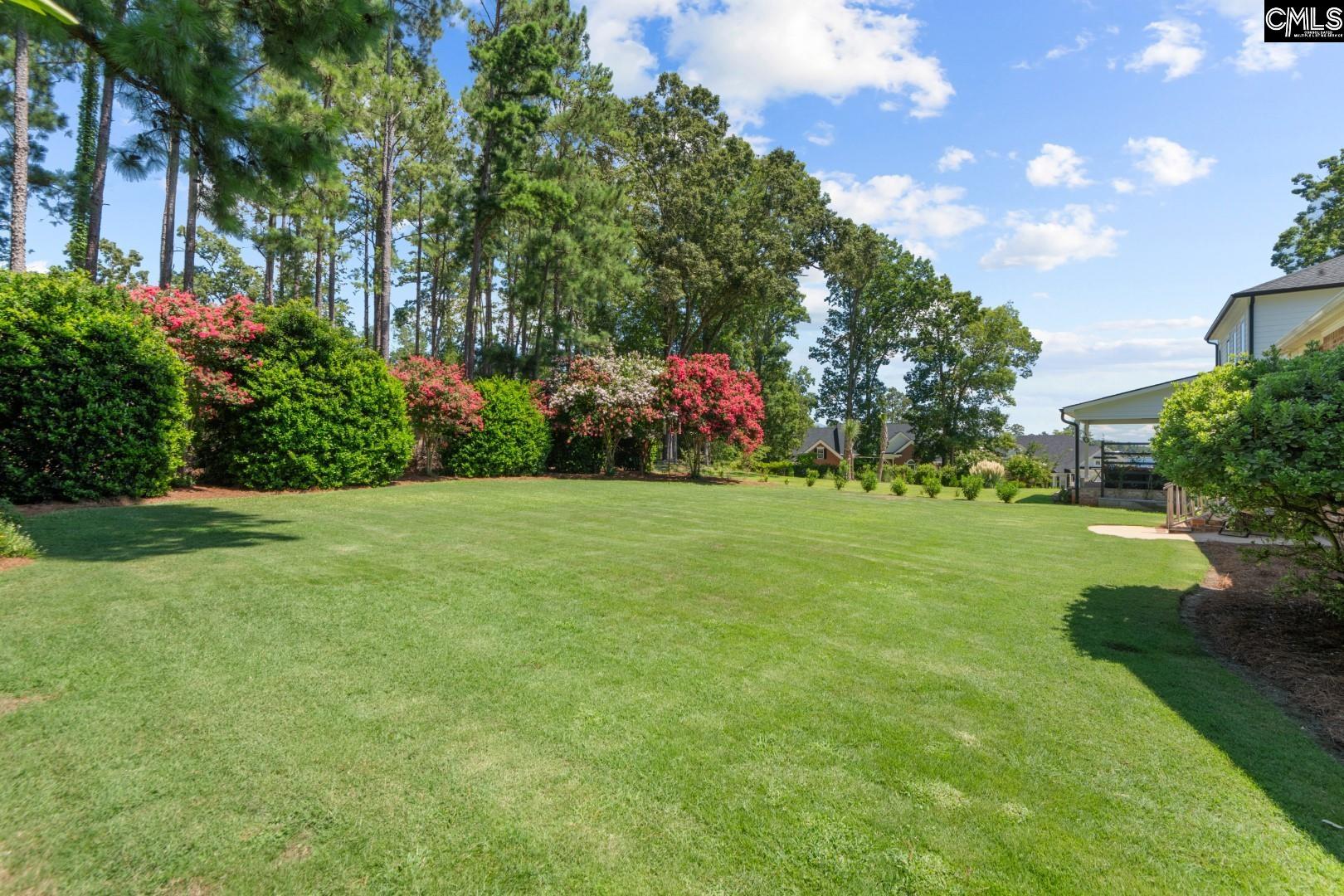 115 Pointe Overlook Drive Chapin, SC 29036