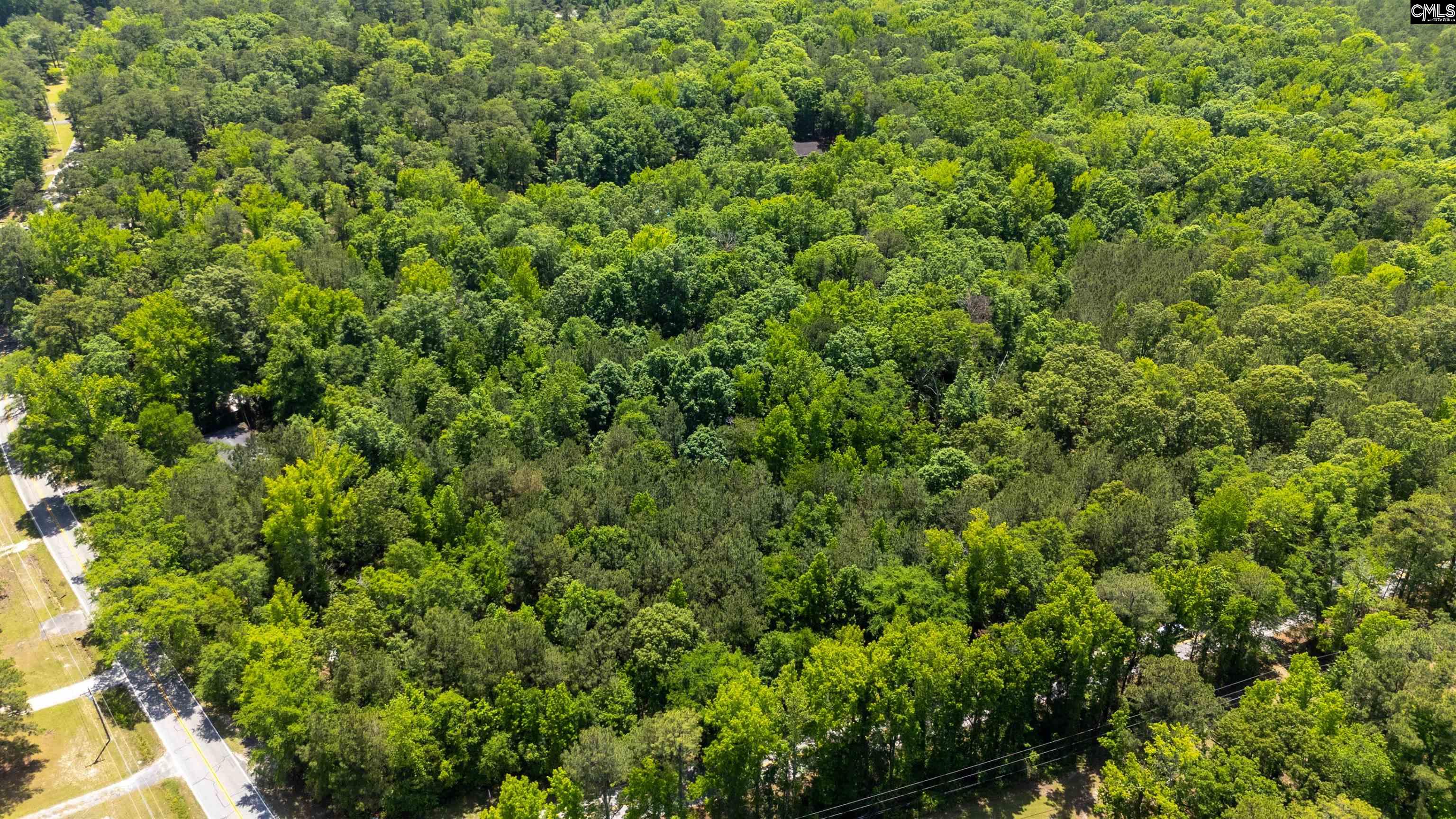 1389 Fulmer Road Blythewood, SC 29016