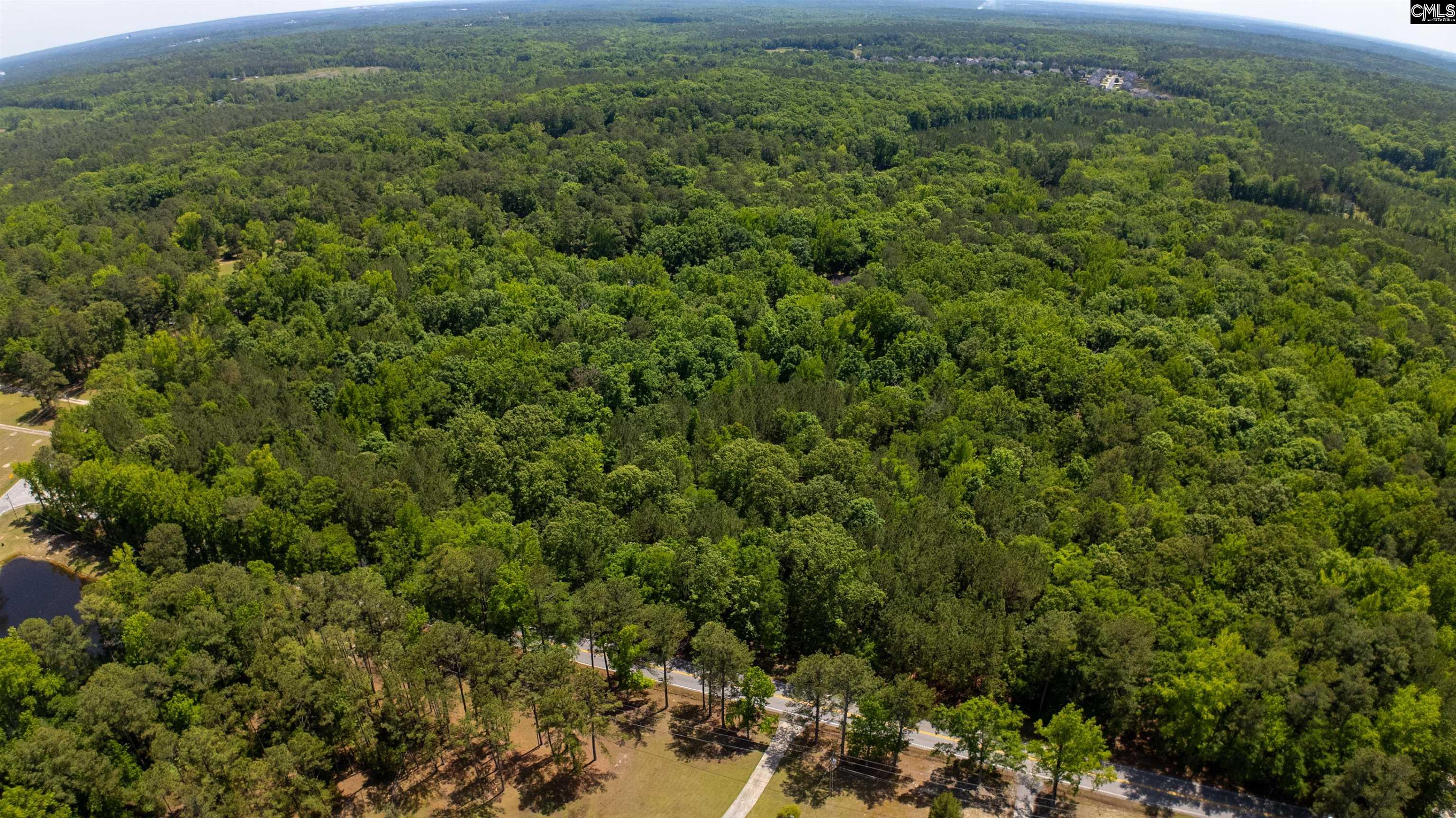 1389 Fulmer Road Blythewood, SC 29016