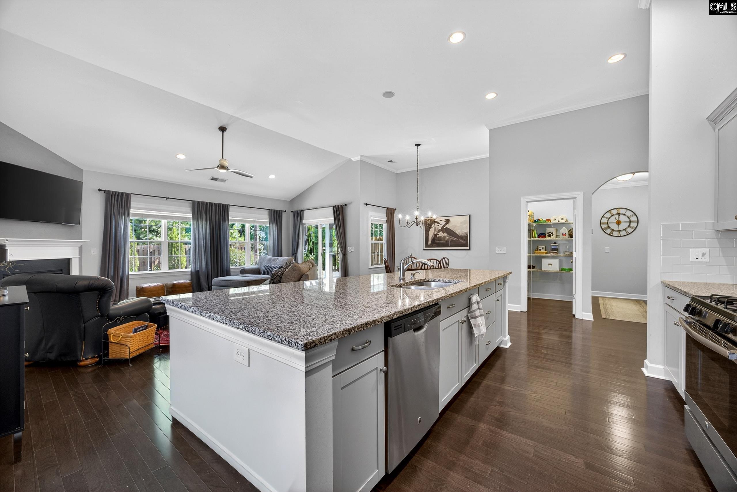 745 Xander Way Chapin, SC 29036