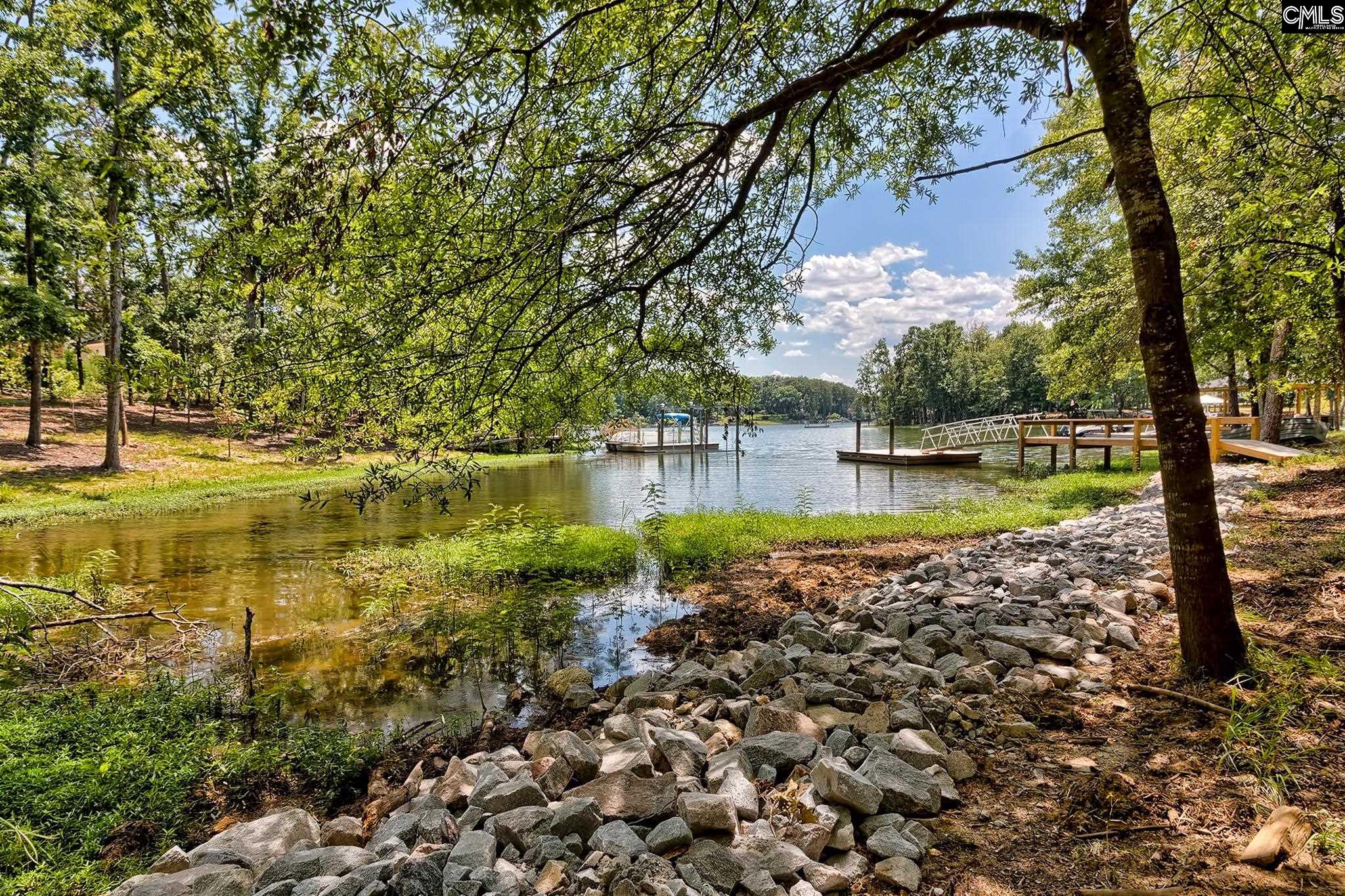 925 Salisbury Court Chapin, SC 29036