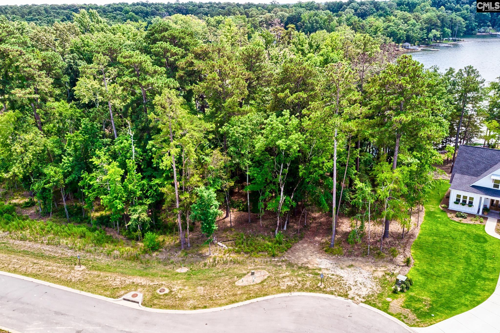 925 Salisbury Court Chapin, SC 29036
