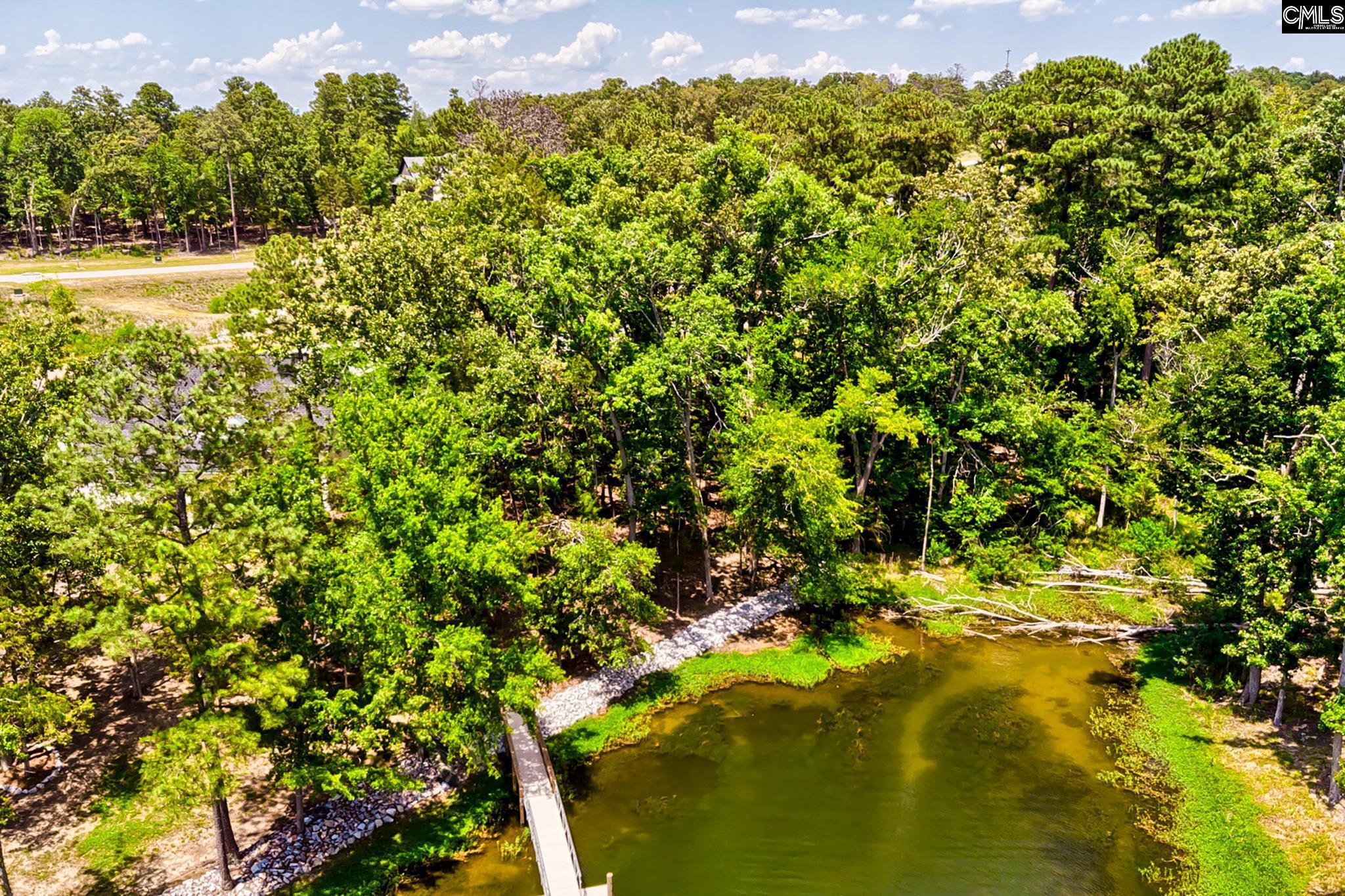 925 Salisbury Court Chapin, SC 29036