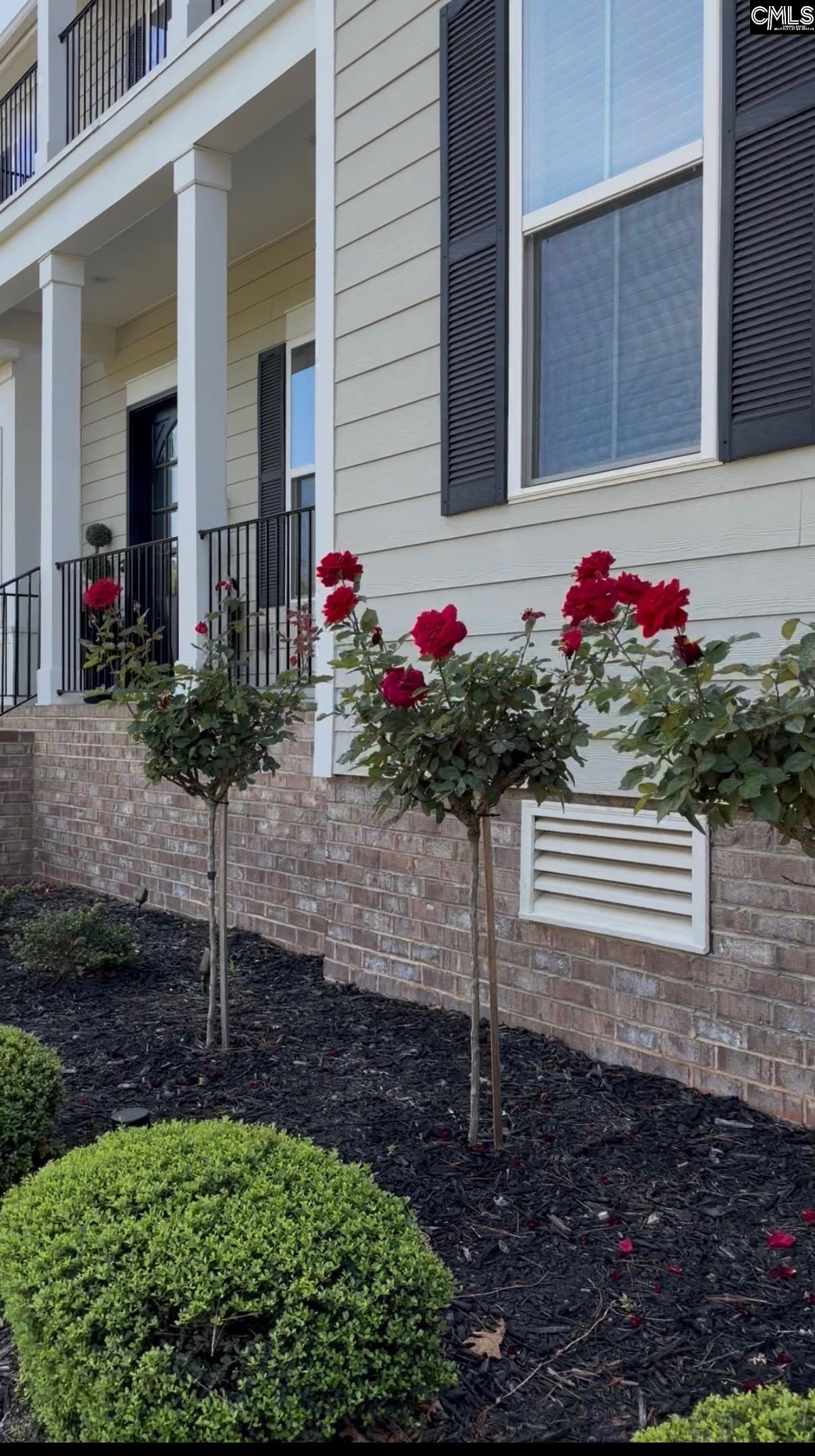 307 Brookridge Drive Chapin, SC 29036