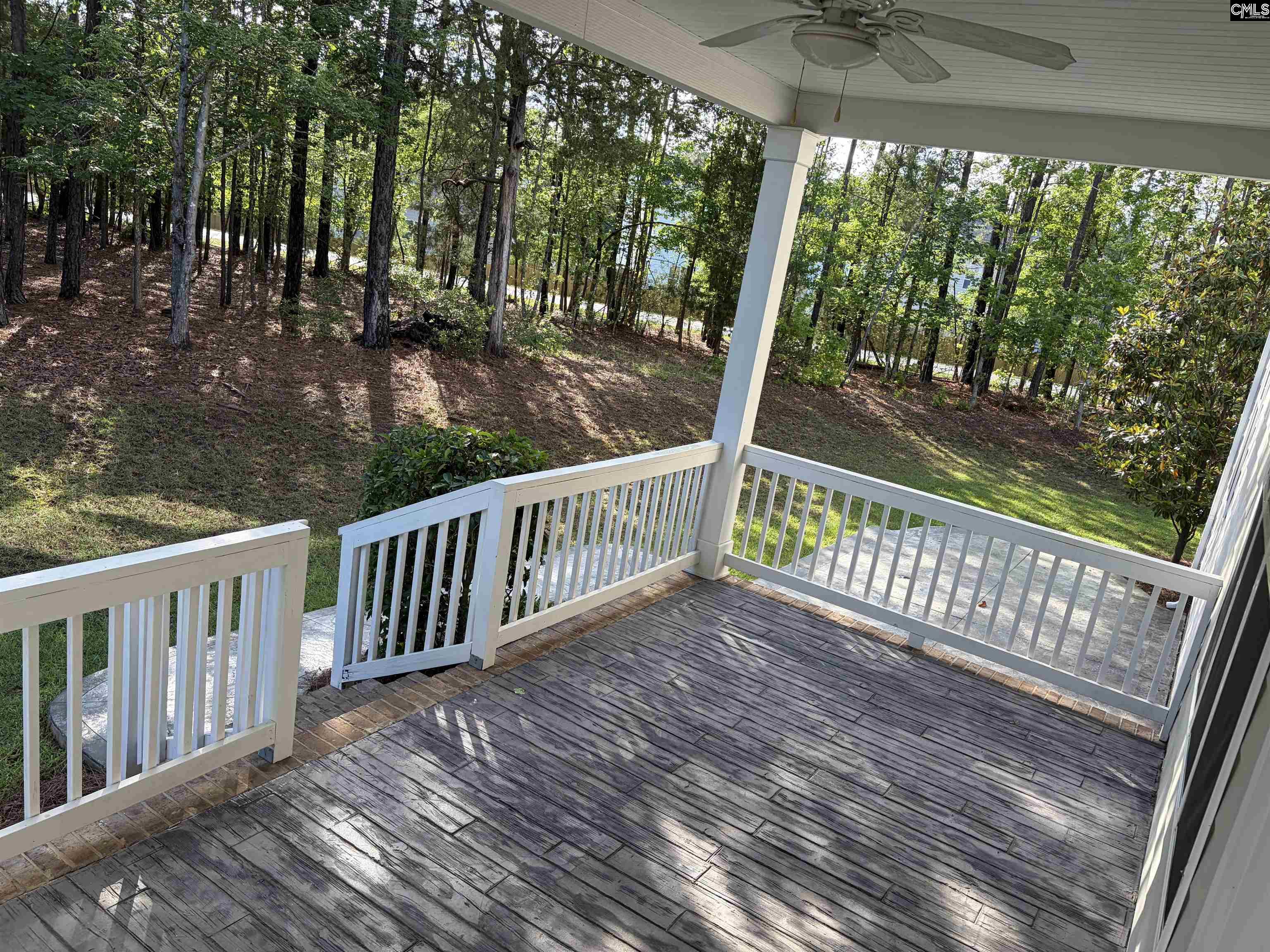 307 Brookridge Drive Chapin, SC 29036