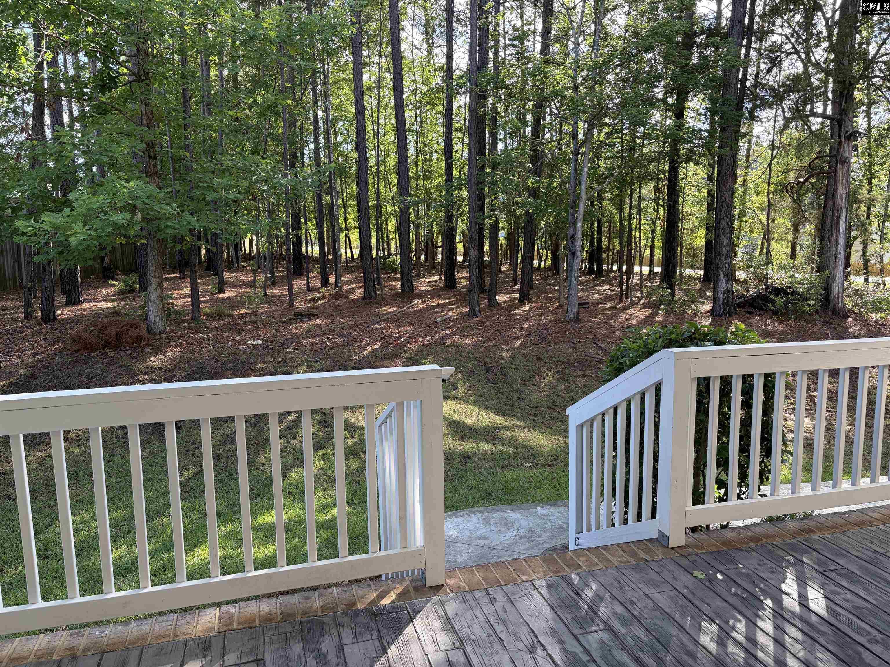 307 Brookridge Drive Chapin, SC 29036