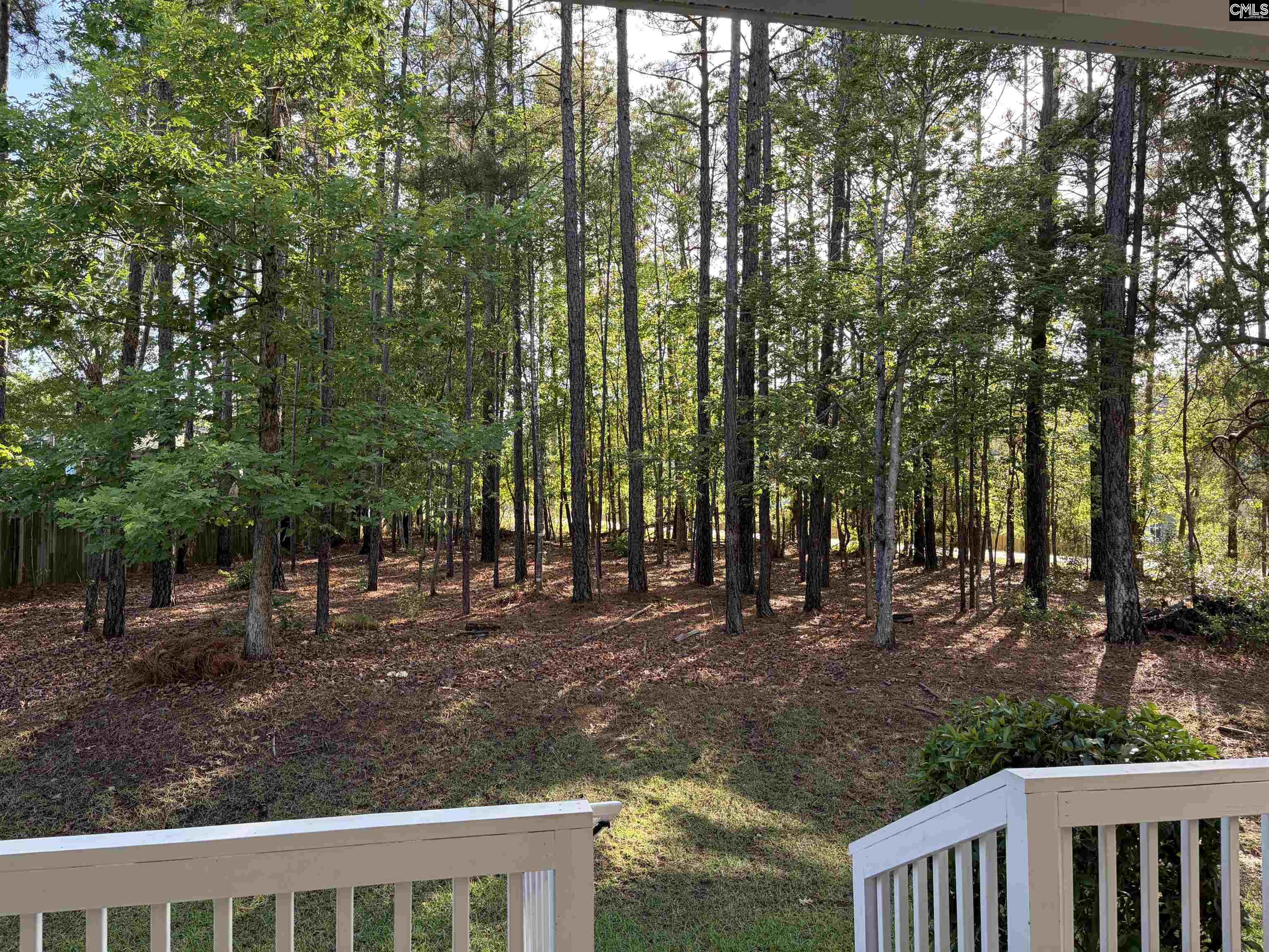 307 Brookridge Drive Chapin, SC 29036
