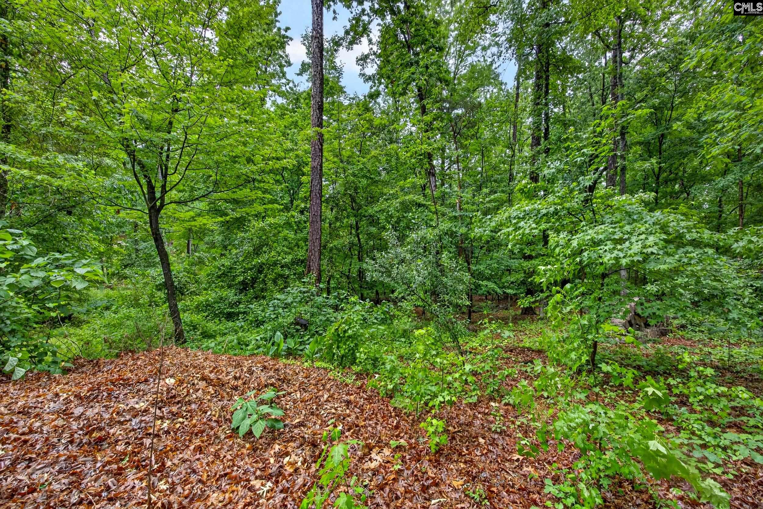248 Platinum Drive Lexington, SC 29072