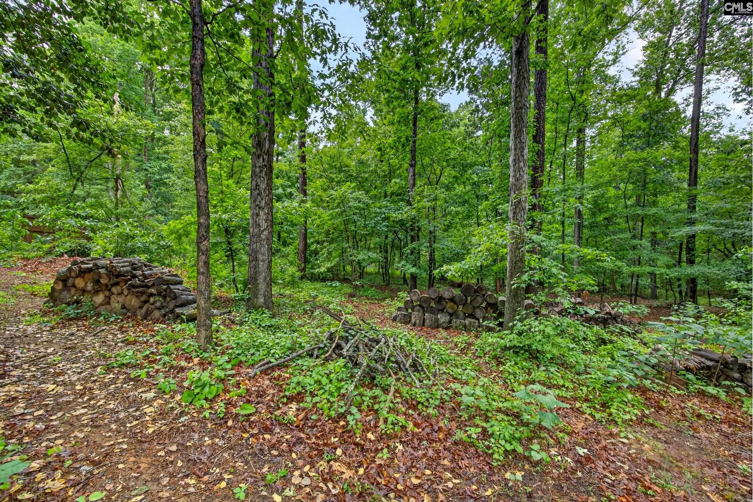 248 Platinum Drive Lexington, SC 29072
