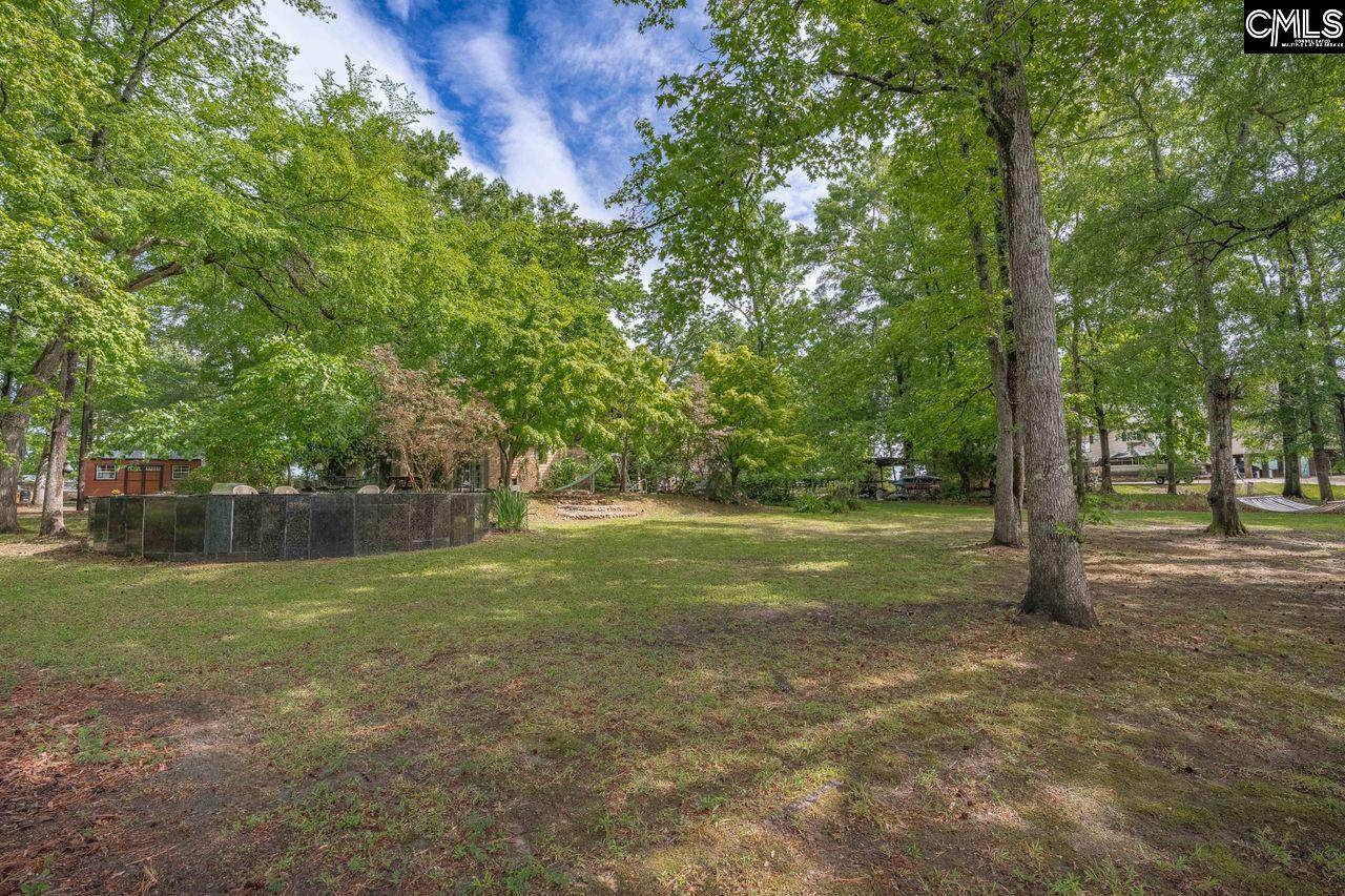 1674 Mallard Point Lane Ridgeway, SC 29130-9678