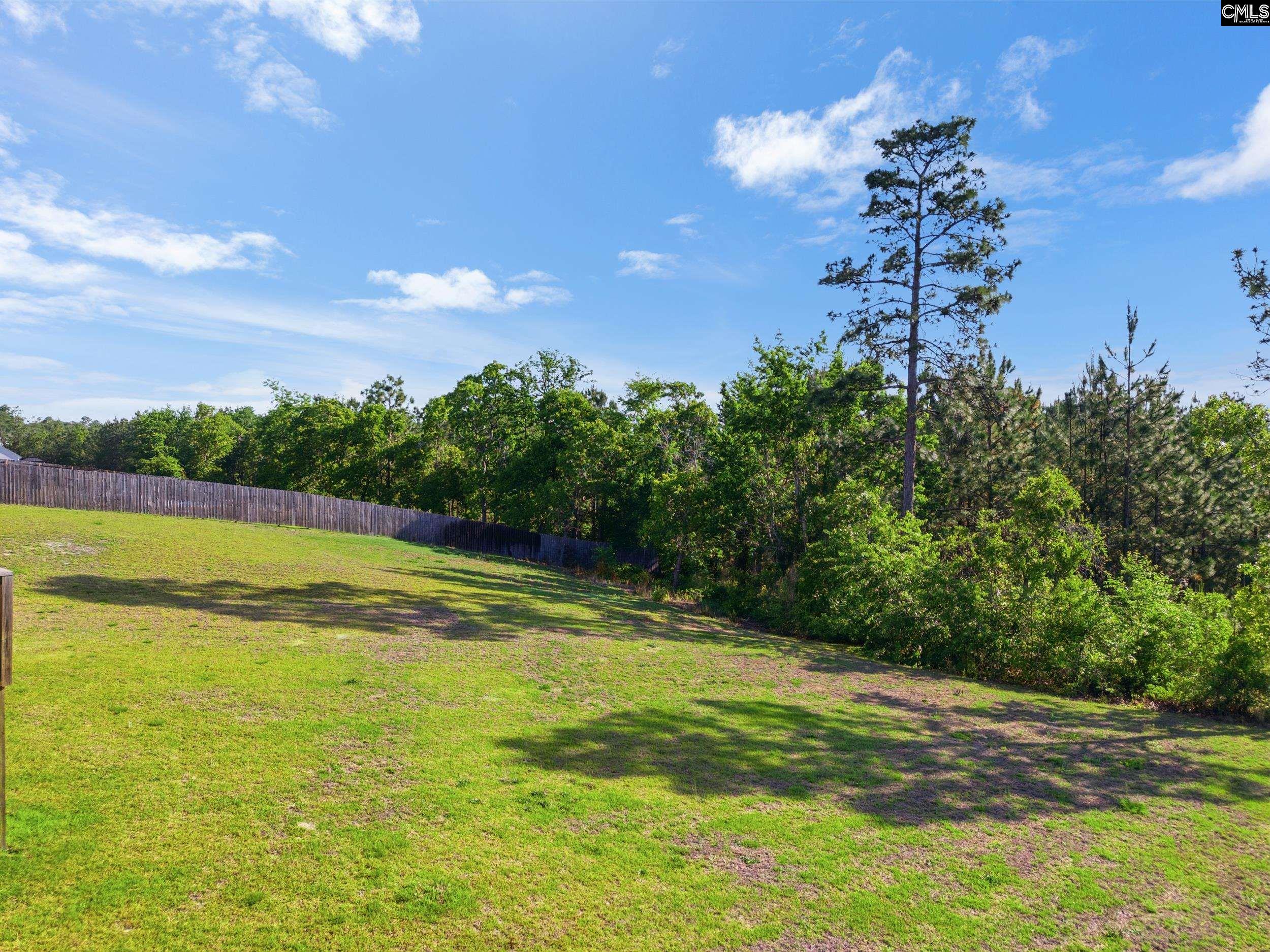 223 Cassique Drive Lexington, SC 29073