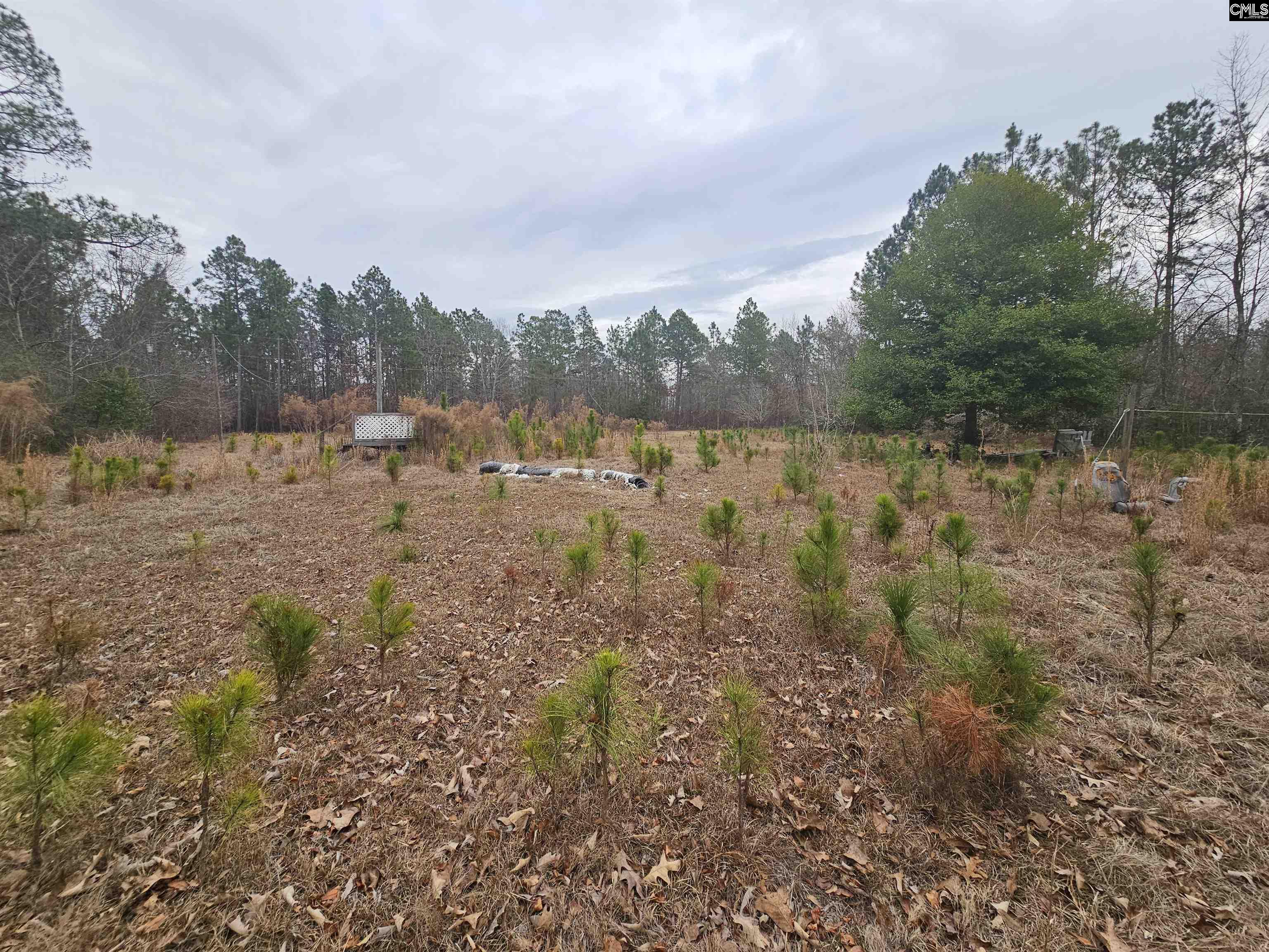 722 Jeff Sharpe Road Gaston, SC 29053