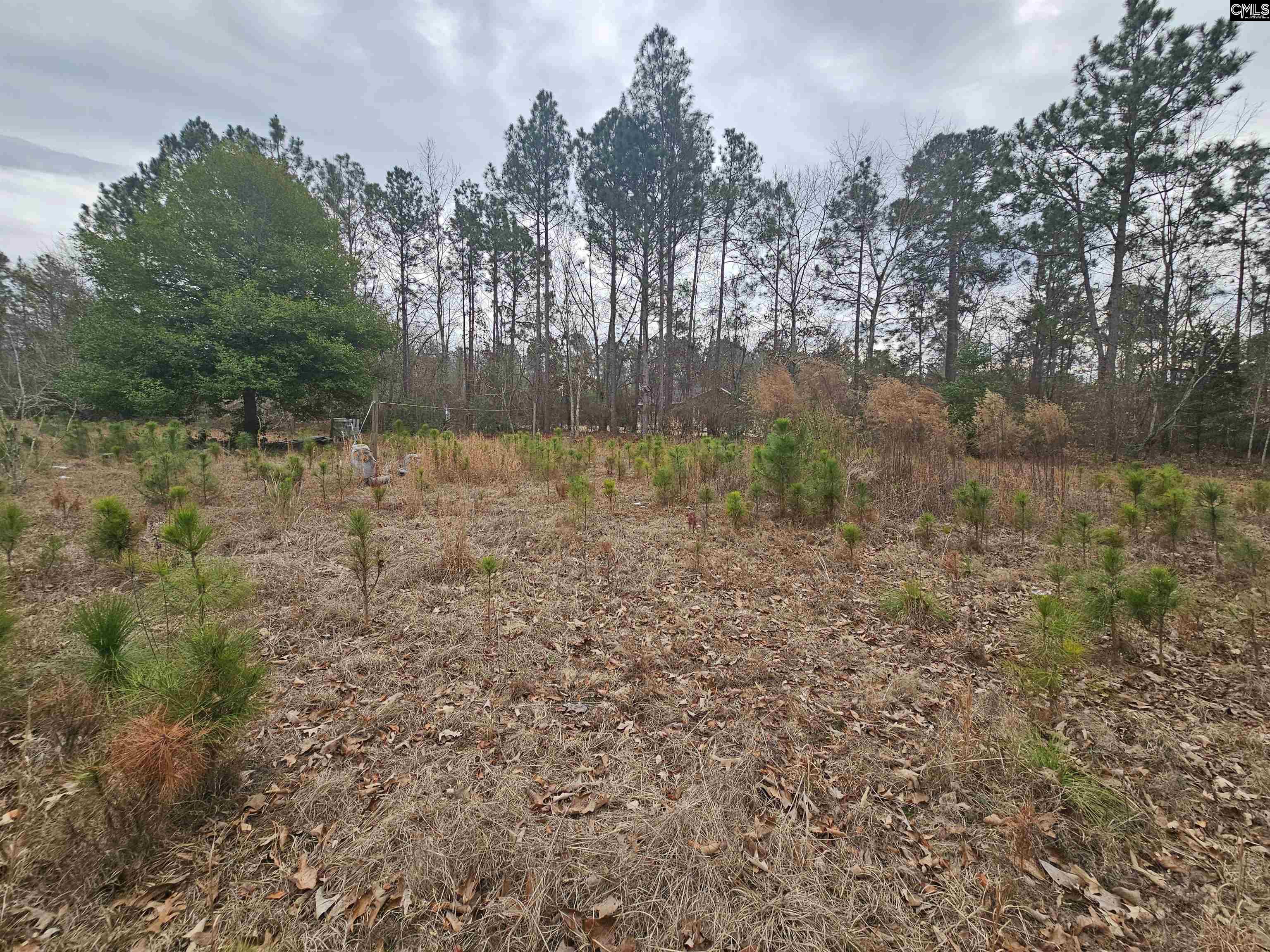 722 Jeff Sharpe Road Gaston, SC 29053