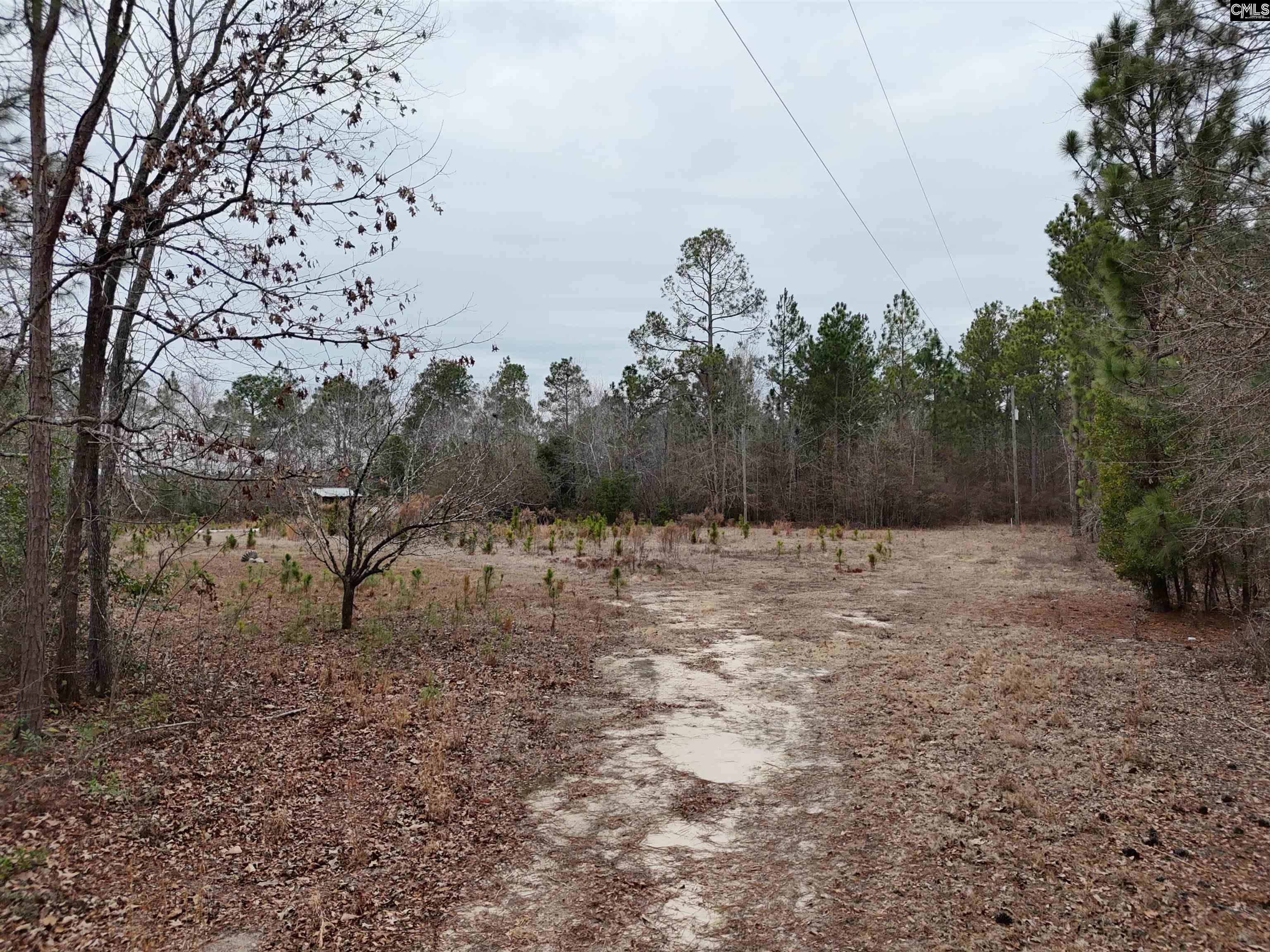 722 Jeff Sharpe Road Gaston, SC 29053
