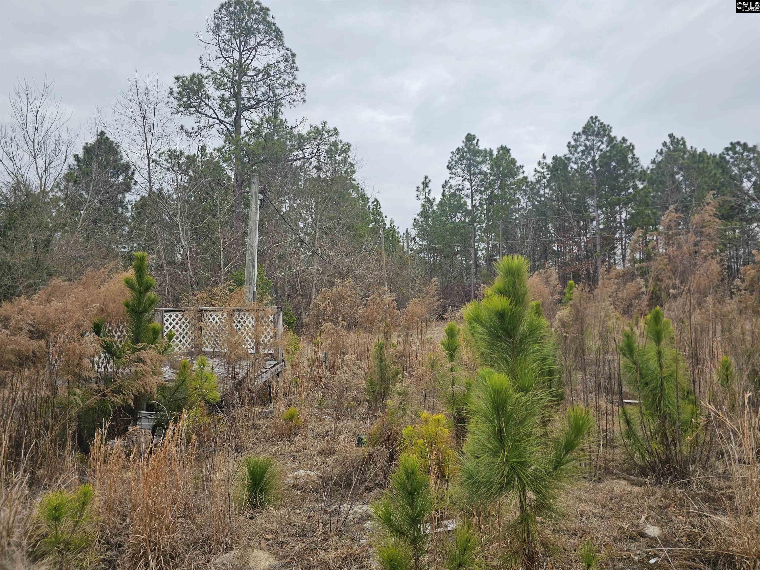 722 Jeff Sharpe Road Gaston, SC 29053