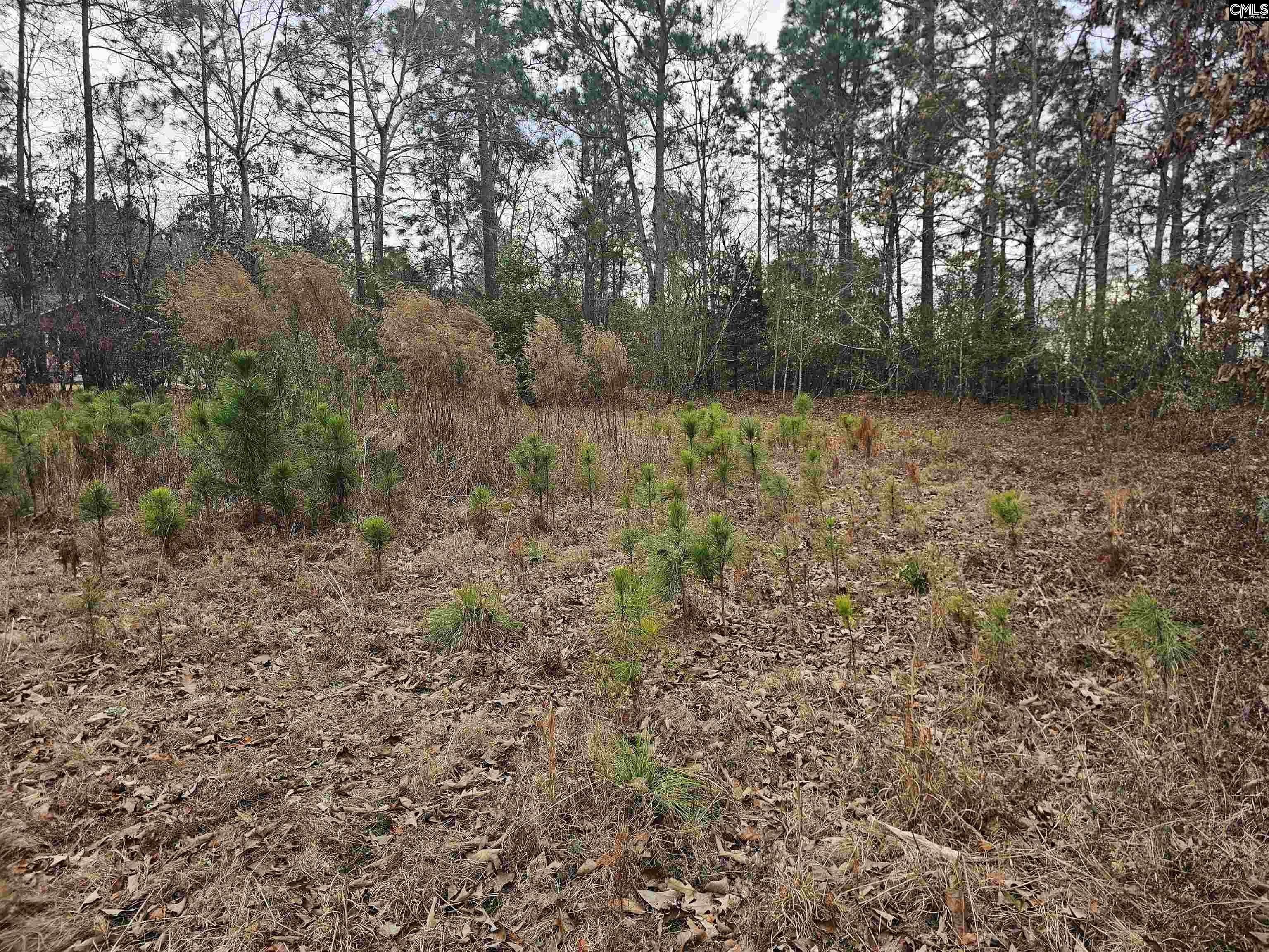 722 Jeff Sharpe Road Gaston, SC 29053