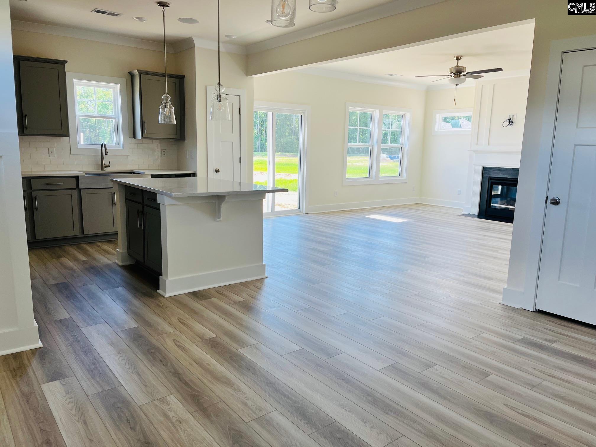 119 Balis Farm Circle Blythewood, SC 29016