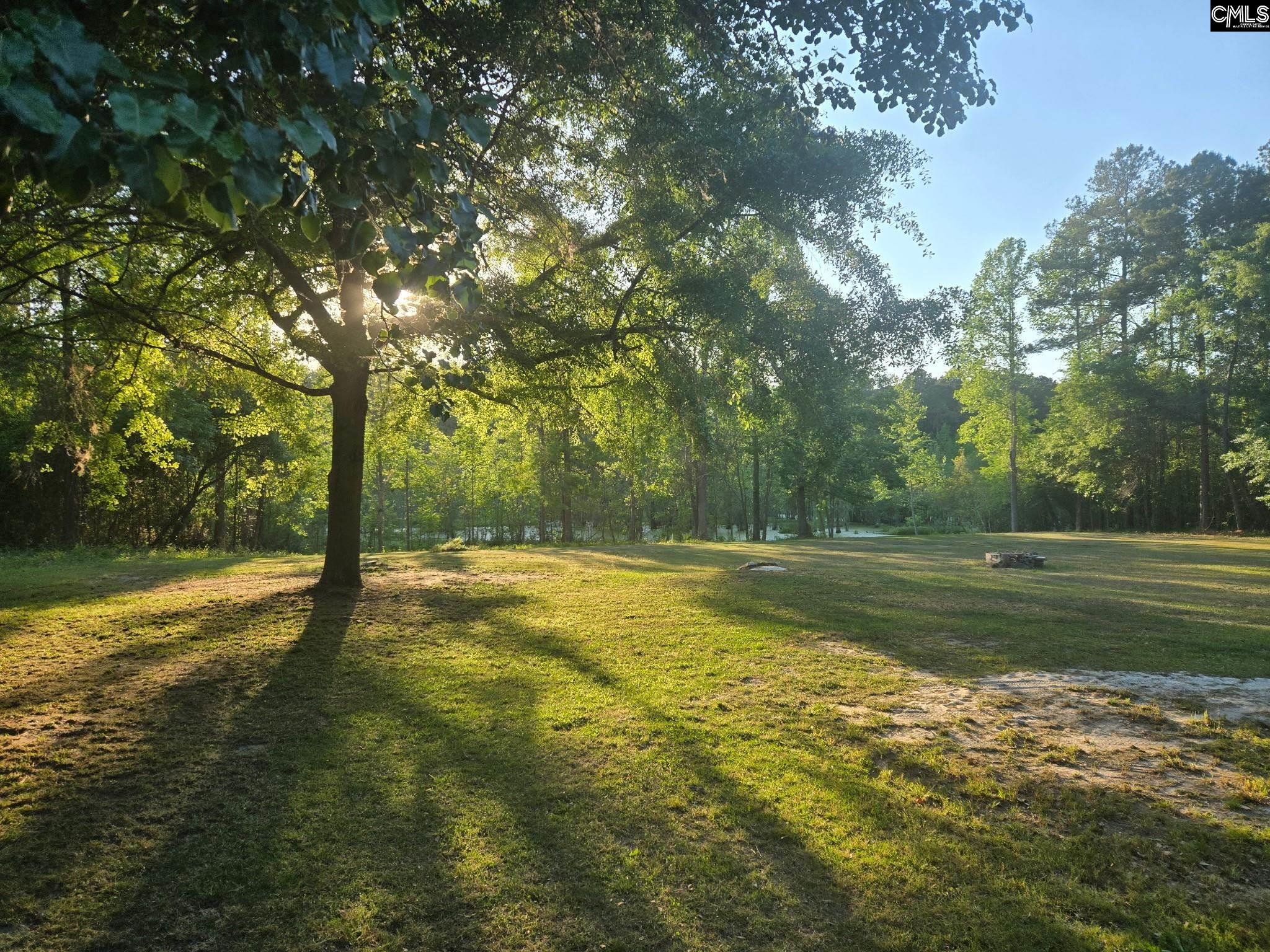1094 Carrie Lynn Drive Manning, SC 29102