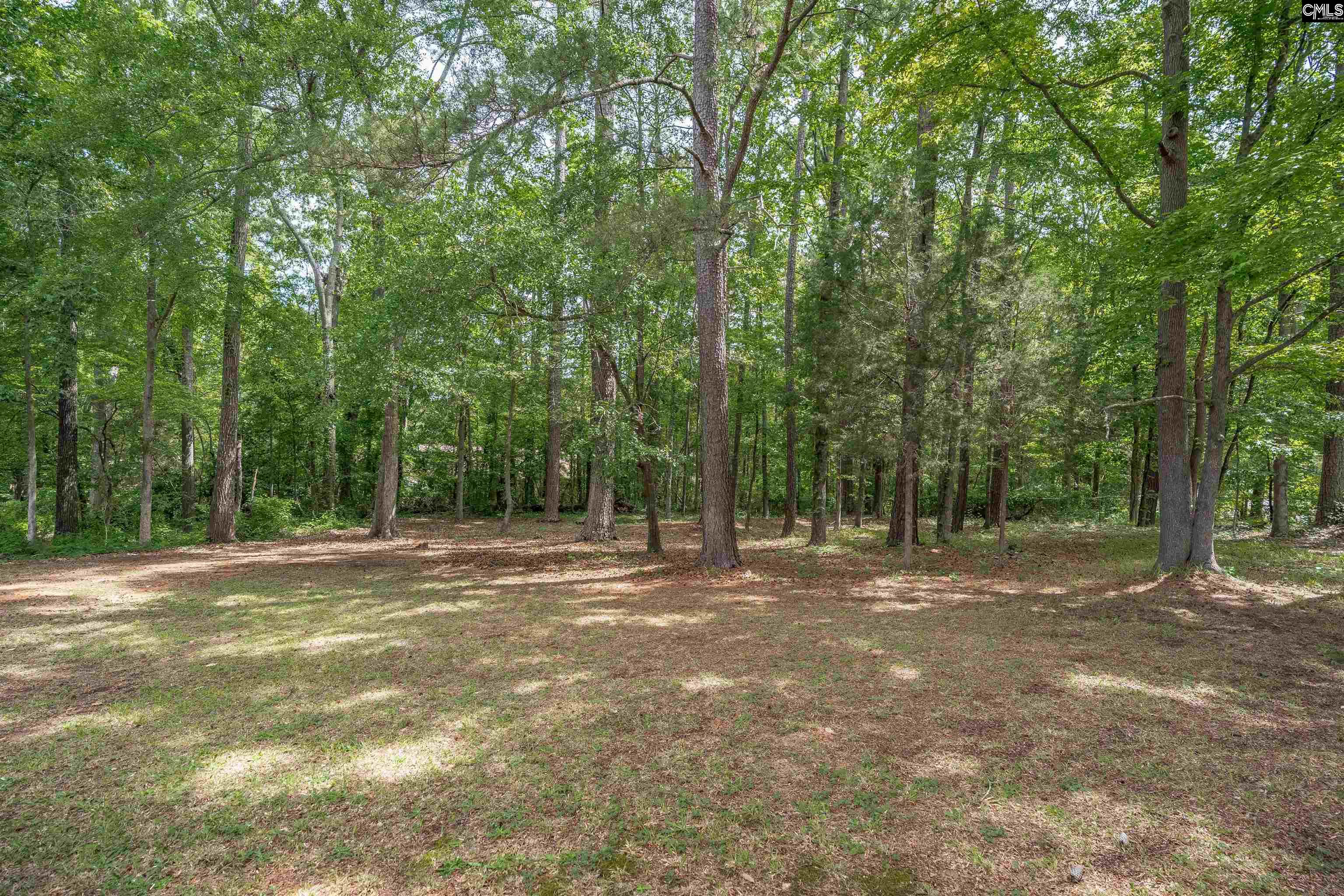 249 Wychwood Road Irmo, SC 29063