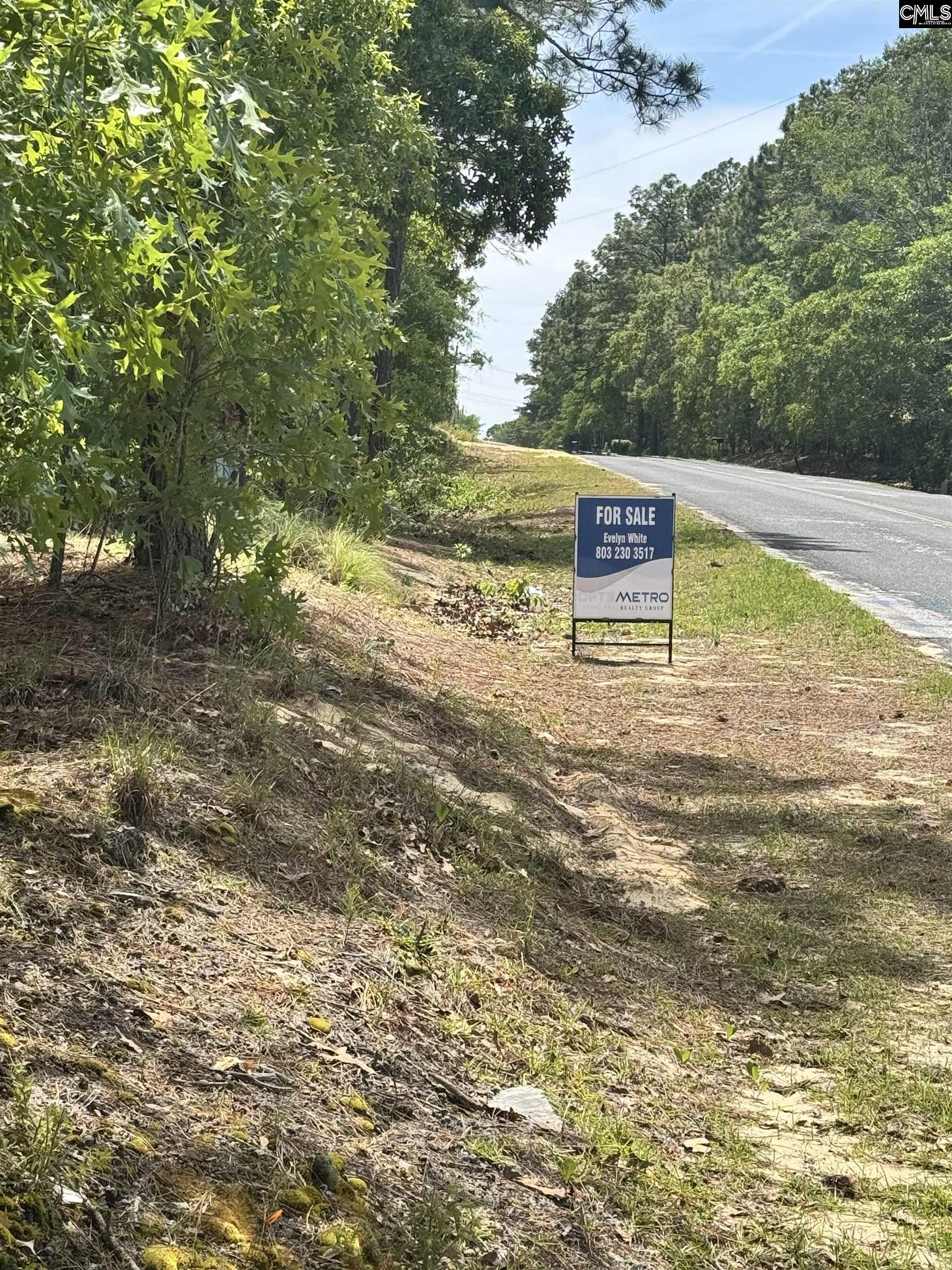 1353 Cheraw Rd Cassatt, SC 29032