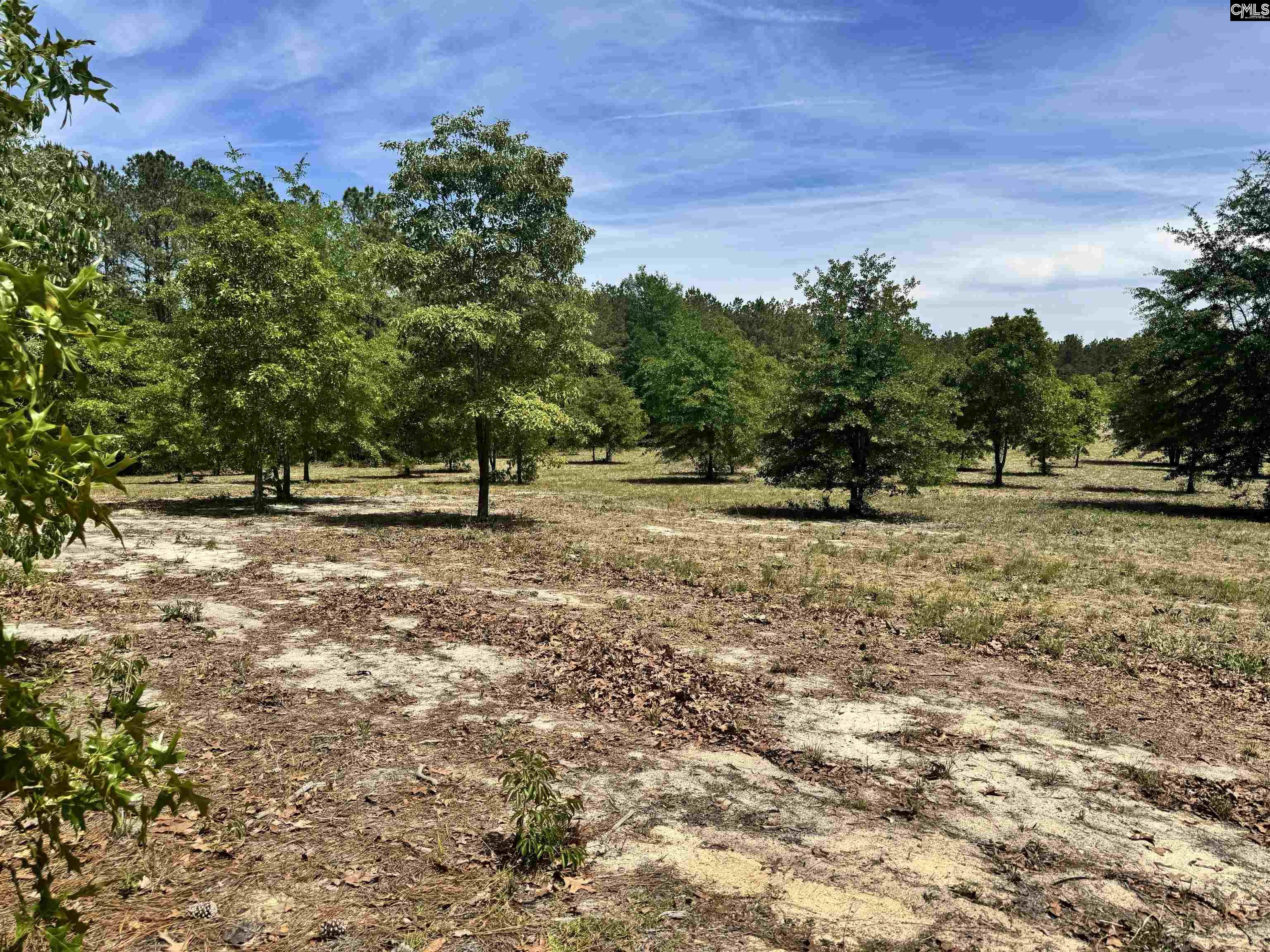 1353 Cheraw Rd Cassatt, SC 29032