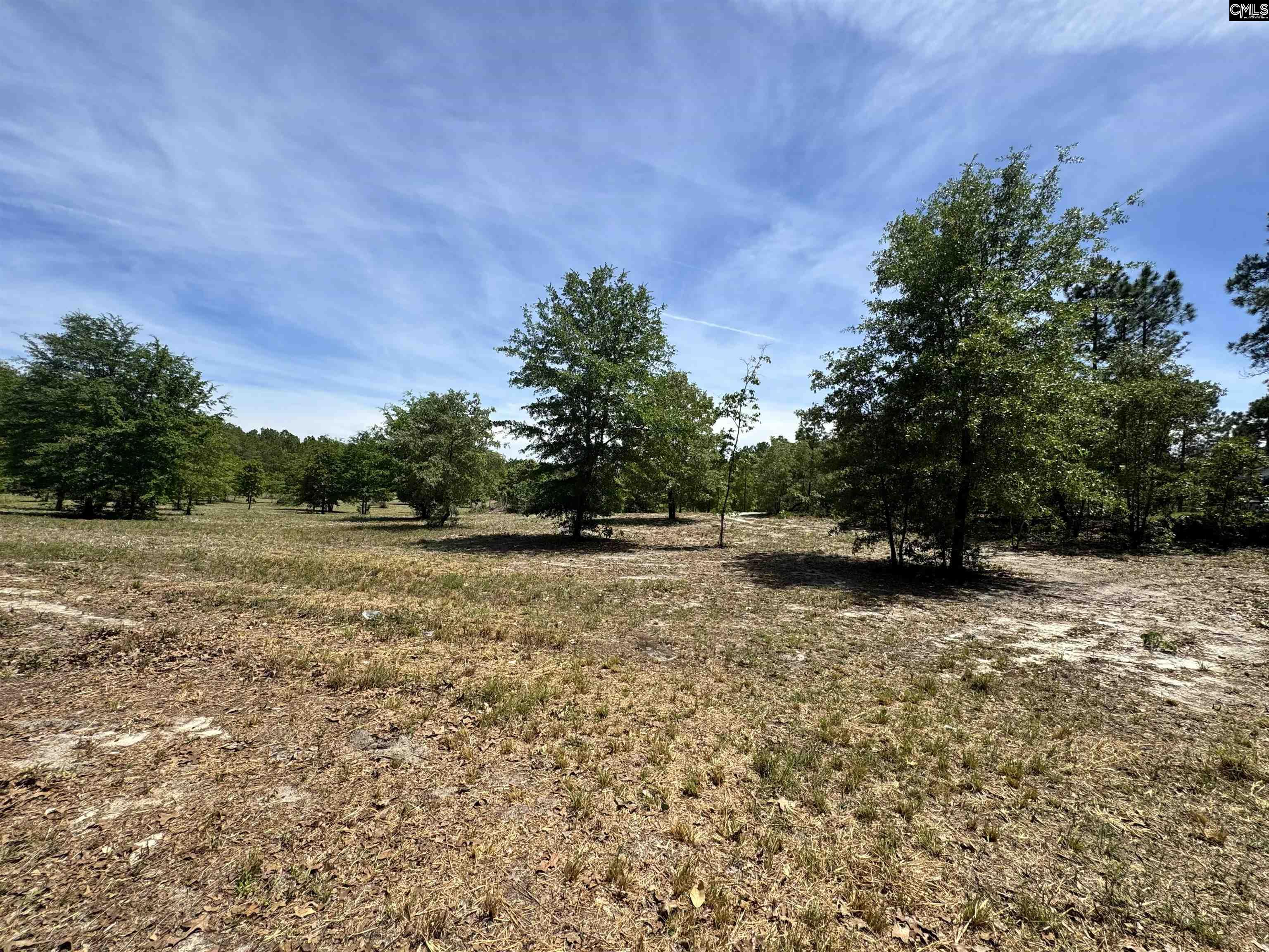 1345 Cheraw Rd Cassatt, SC 29032