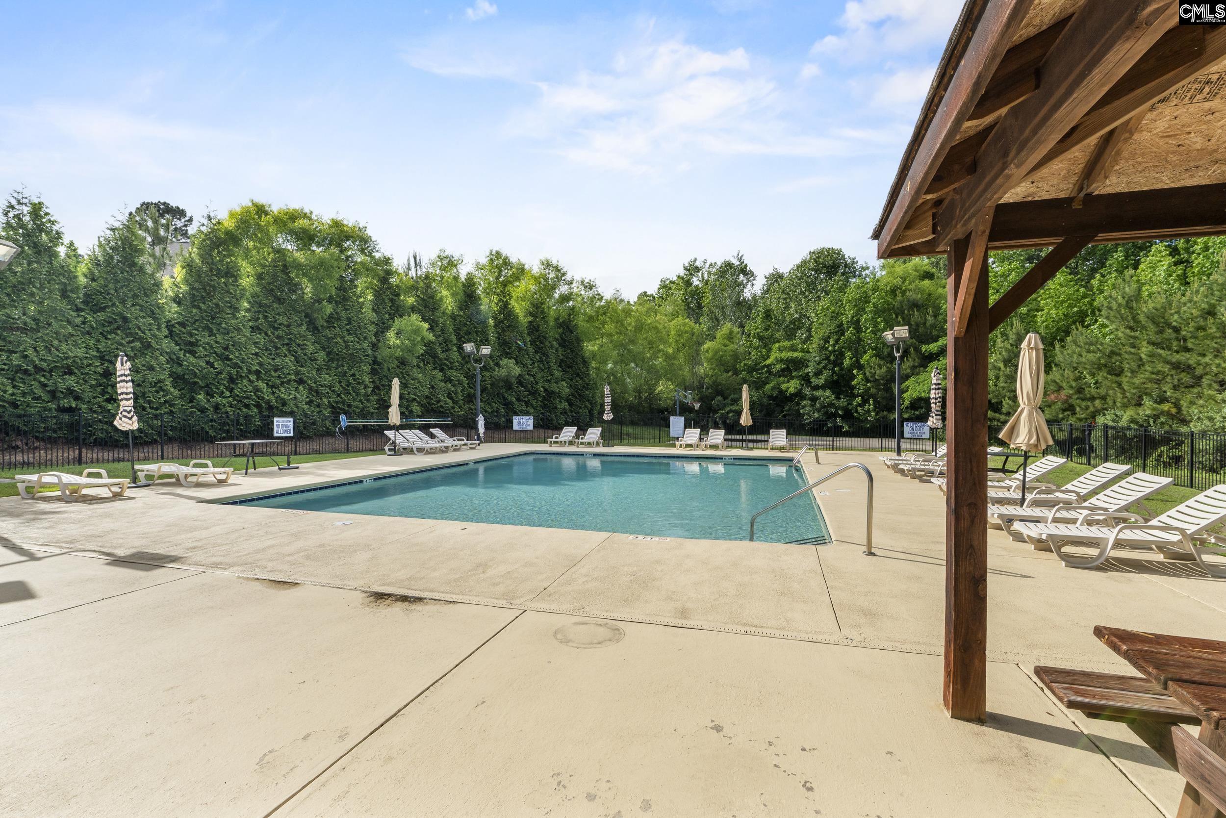 502 Varsity Court Chapin, SC 29036