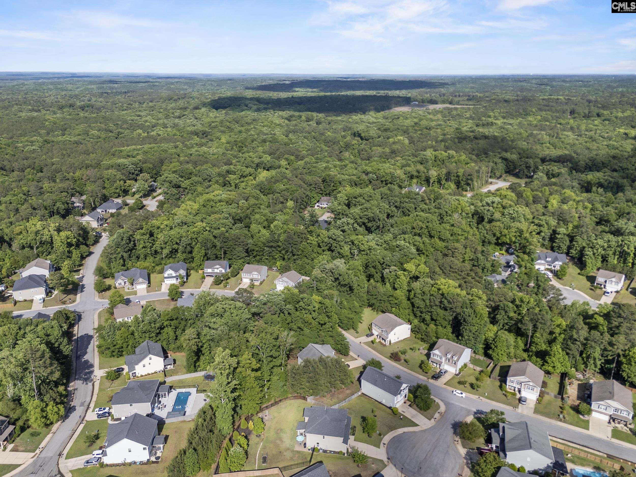 502 Varsity Court Chapin, SC 29036