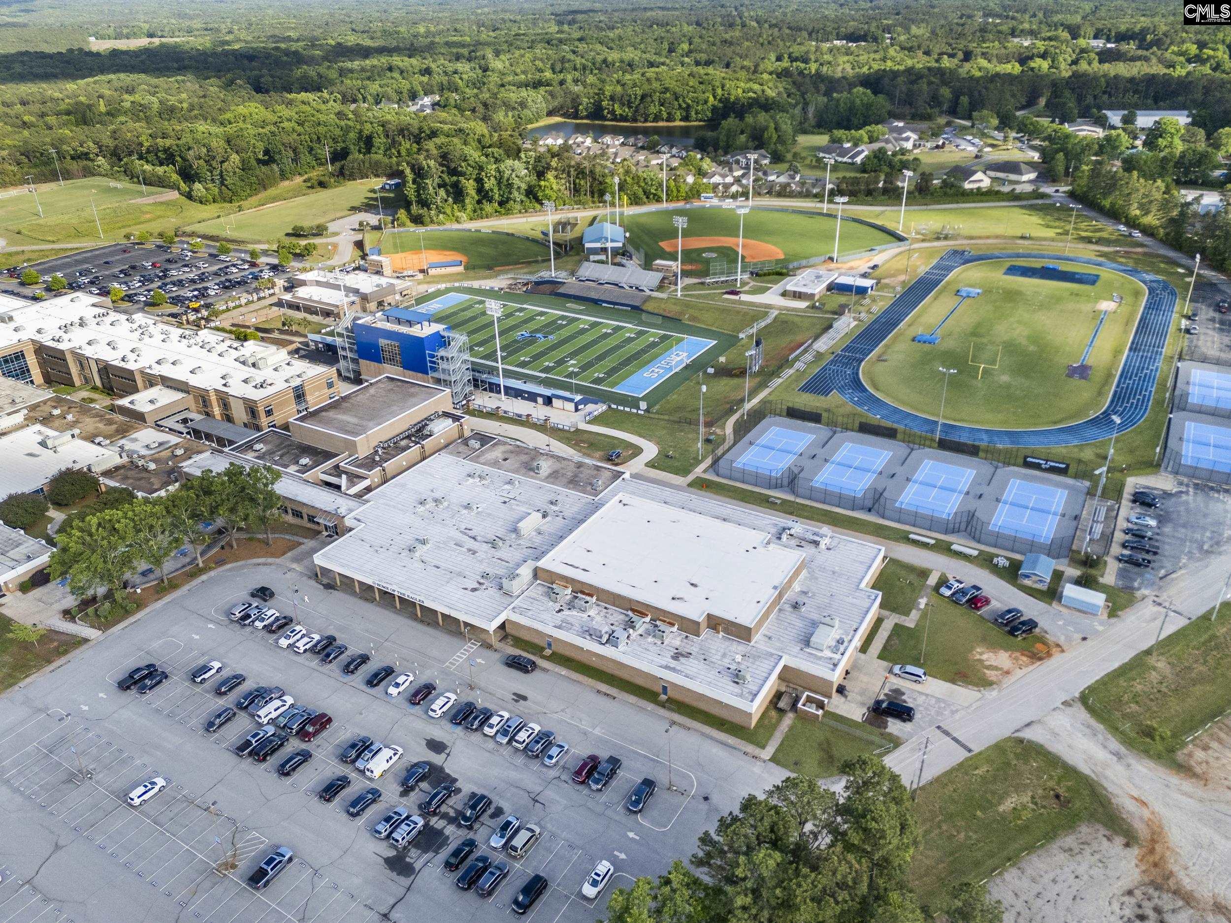 502 Varsity Court Chapin, SC 29036