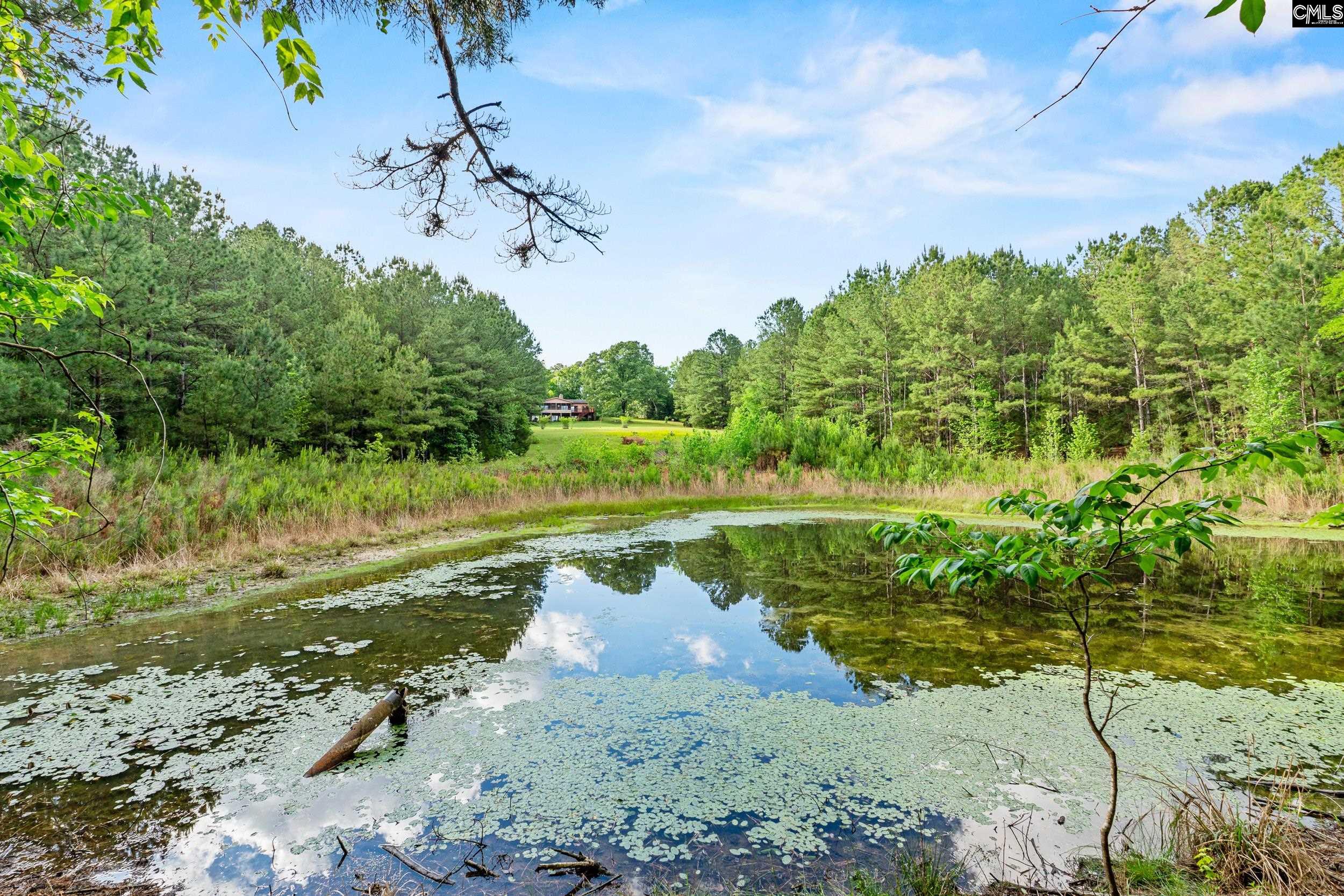 361 Emerald Drive Blythewood, SC 29016