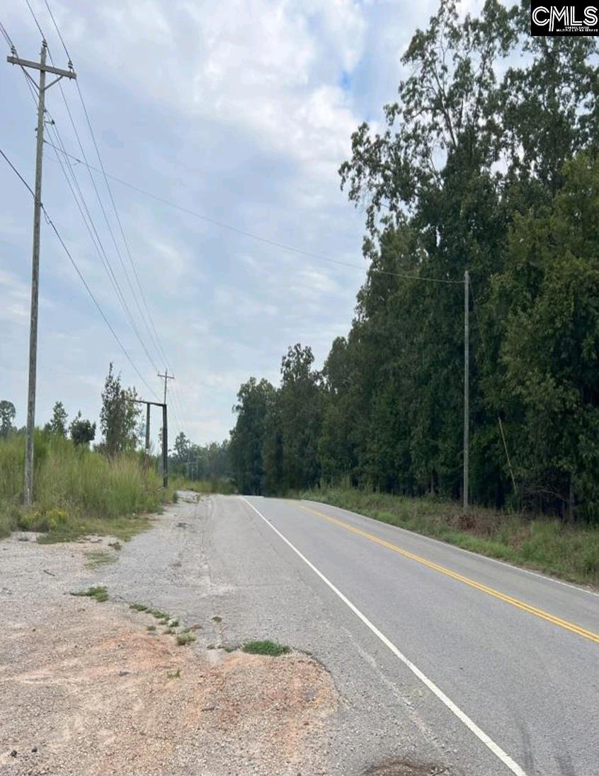 1304 Amicks Ferry Road Chapin, SC 29036