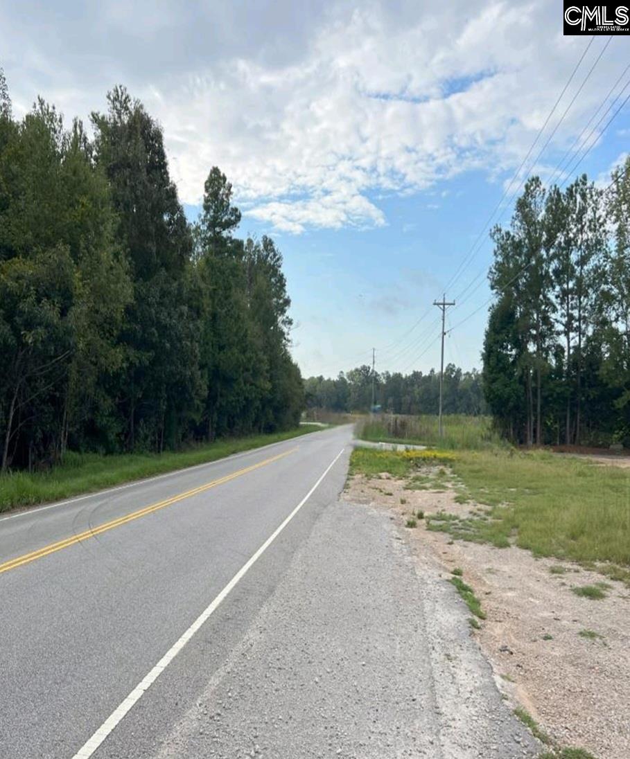 1304 Amicks Ferry Road Chapin, SC 29036